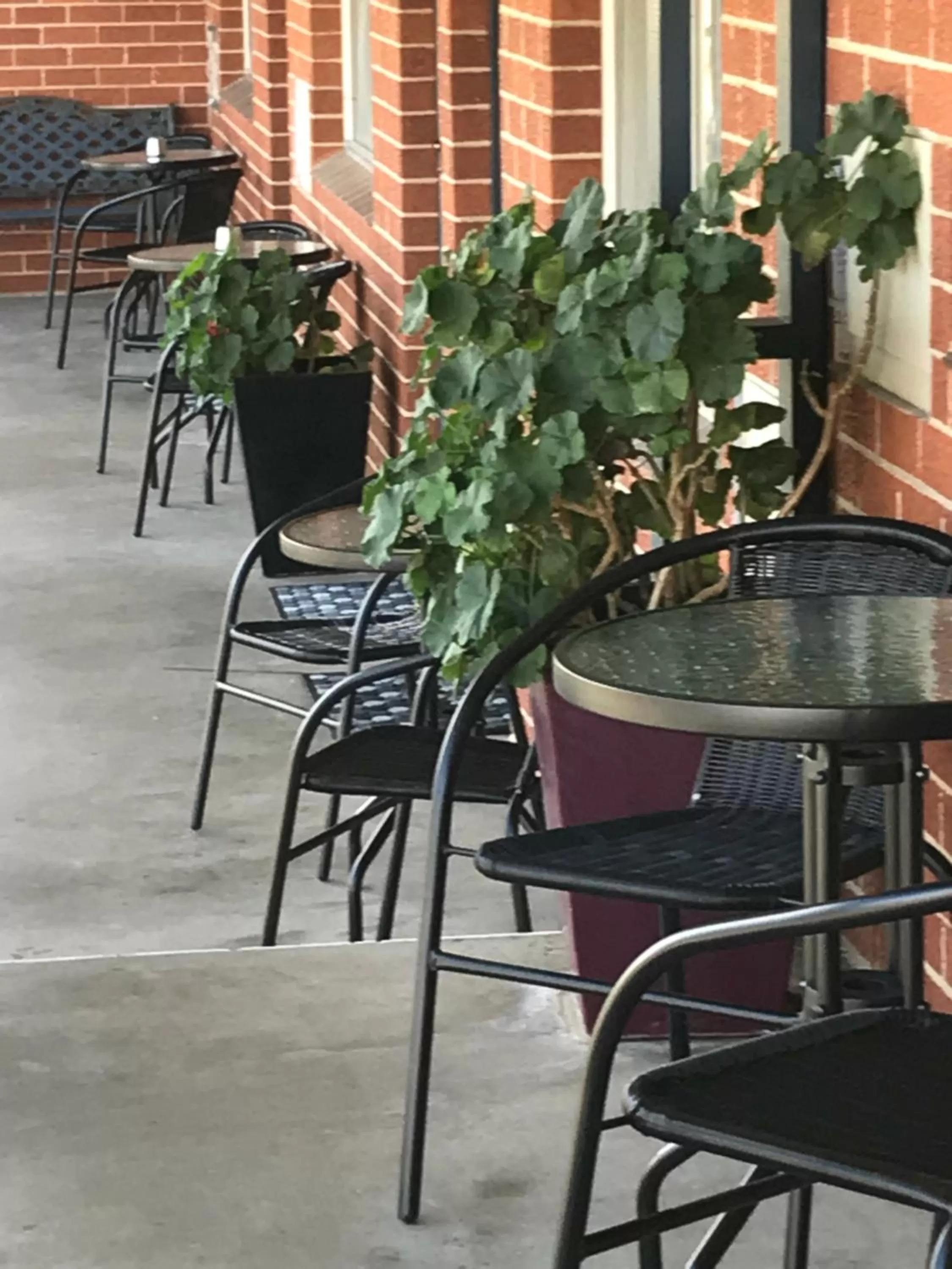 Patio in Kootingal Landview Motel
