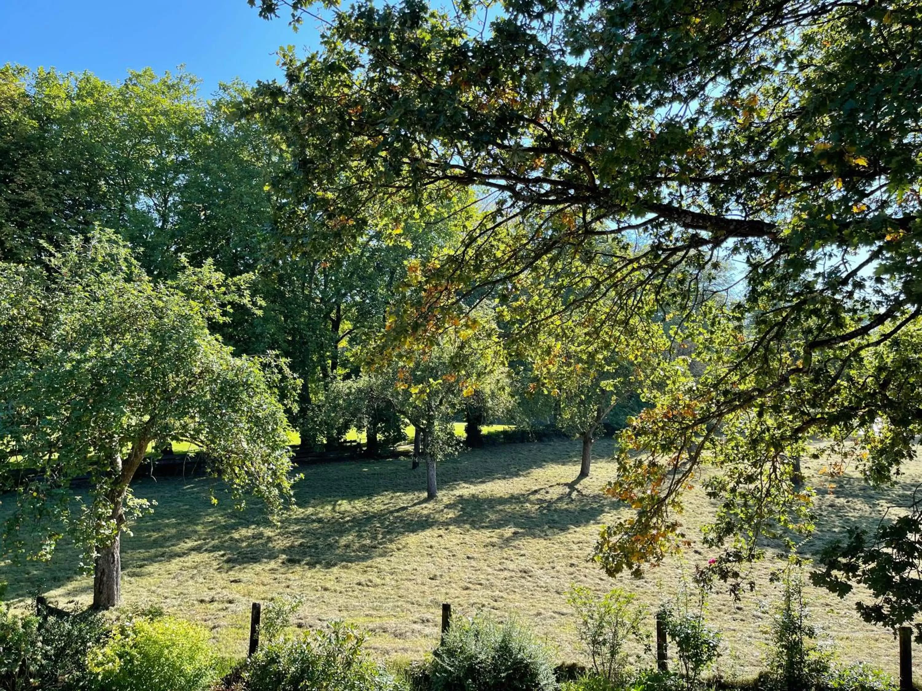 Garden in Landhotel Bonsmann's Hof