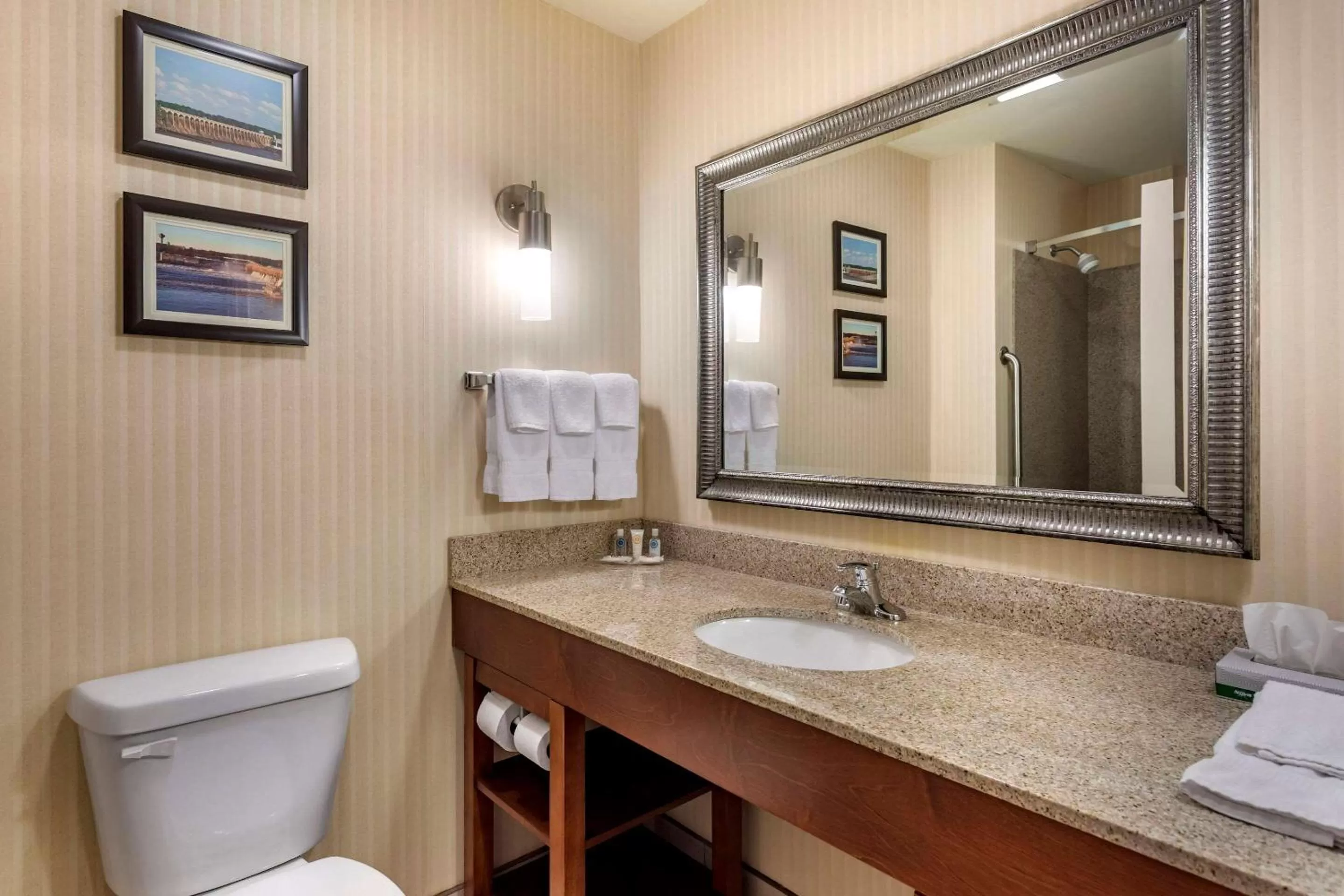 Bathroom in Comfort Suites Florence Shoals Area
