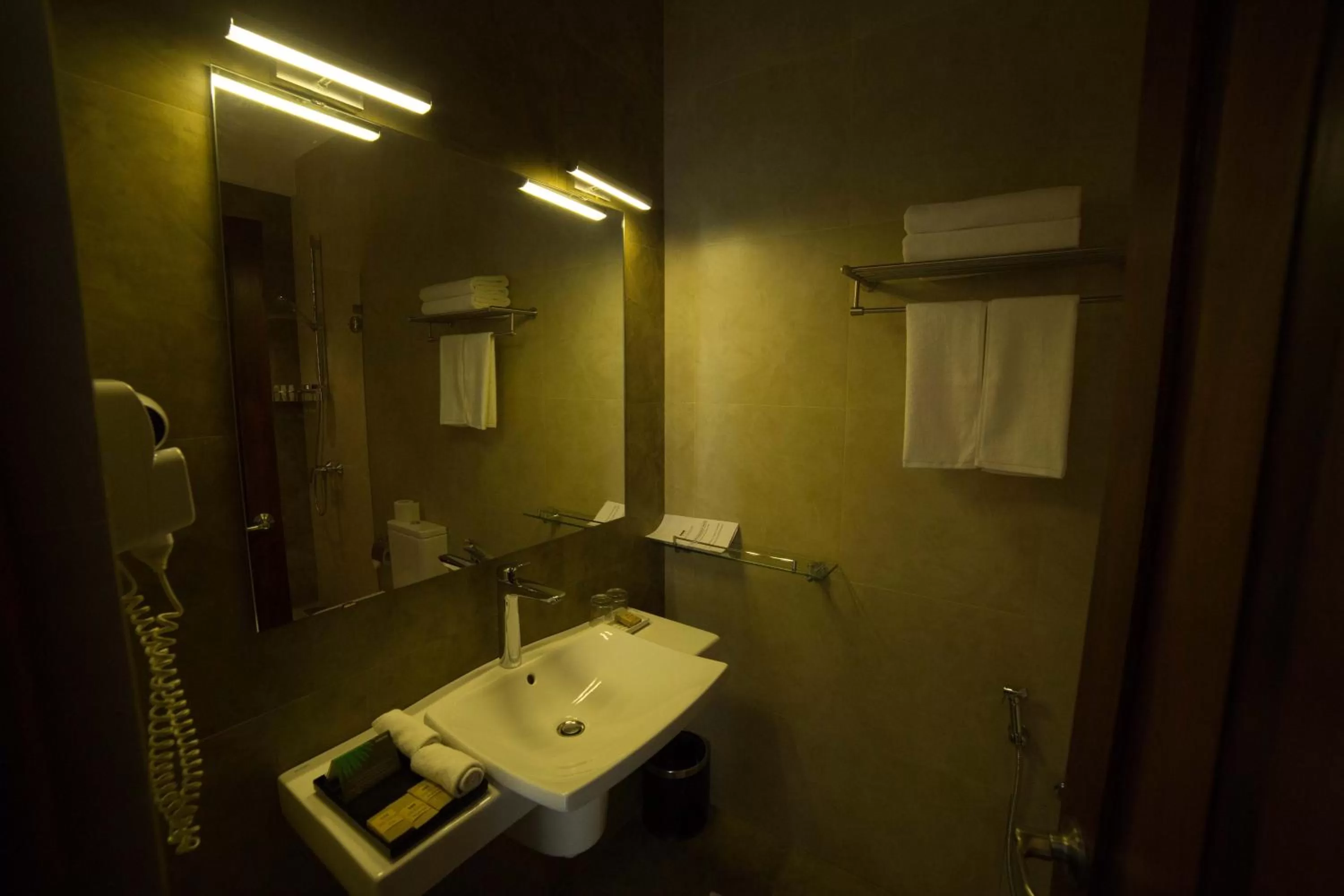 Shower, Bathroom in The Thinnai - All-Suites Boutique Hotel
