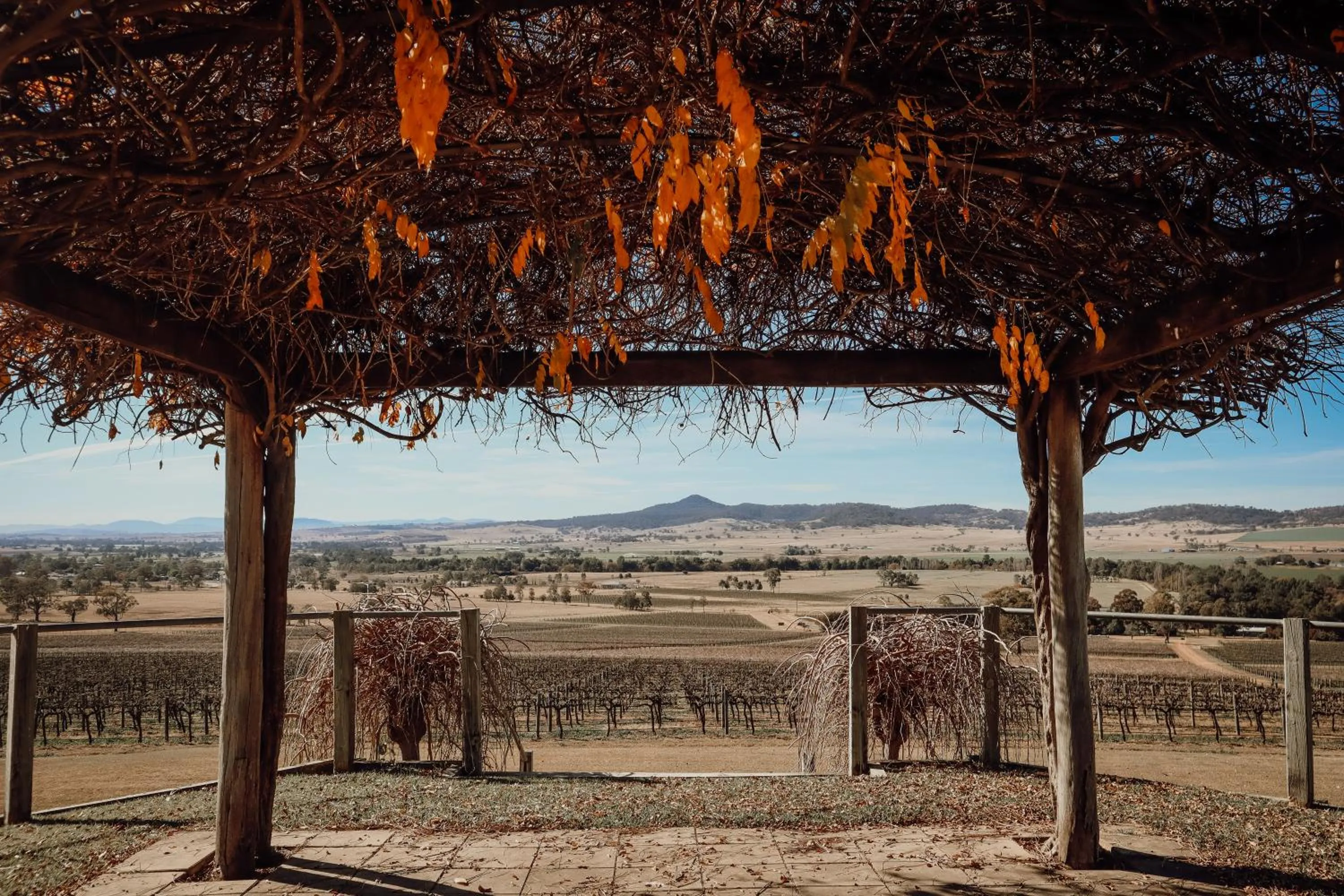 Area and facilities in Denman Motor Inn