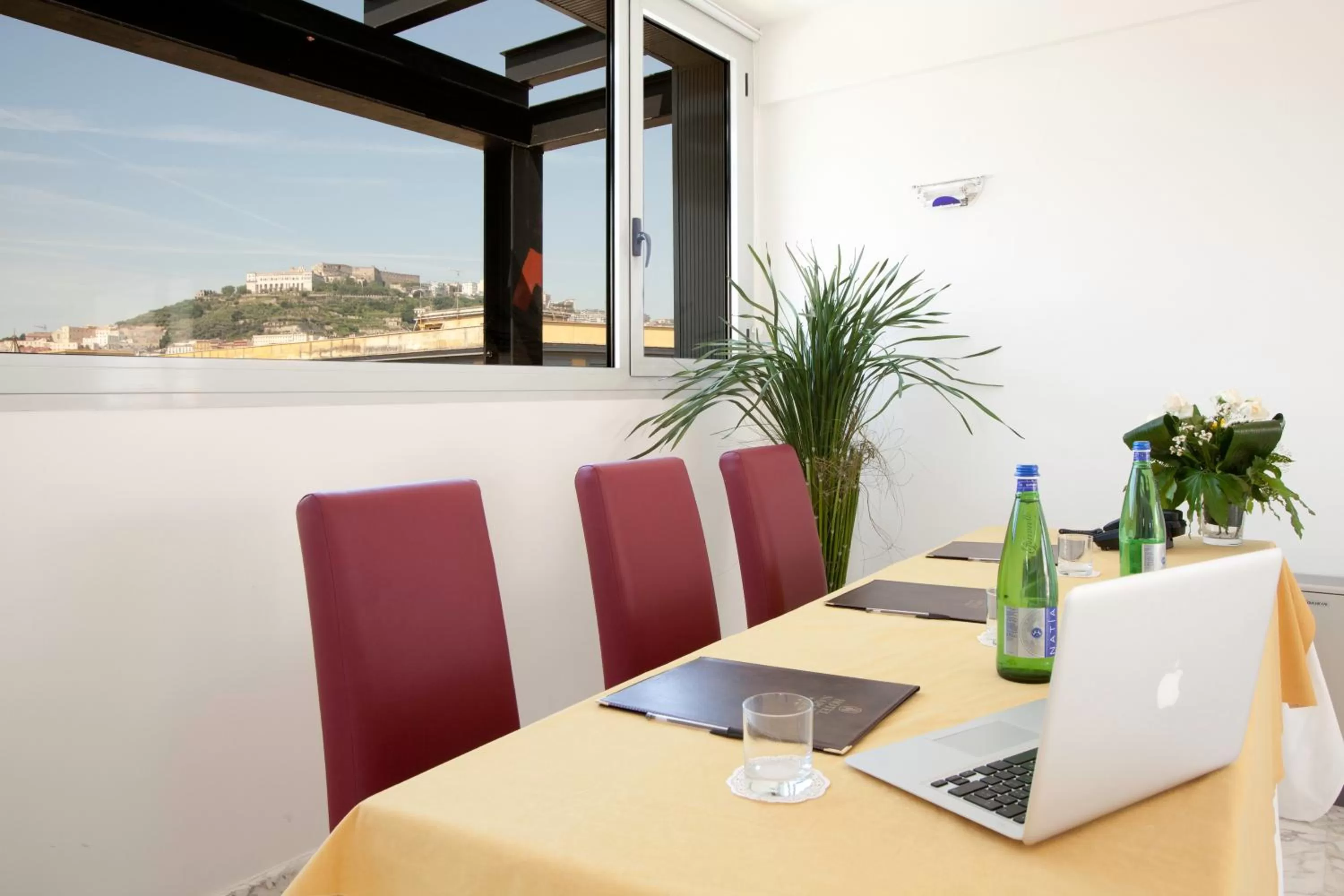 Business facilities in Hotel Naples