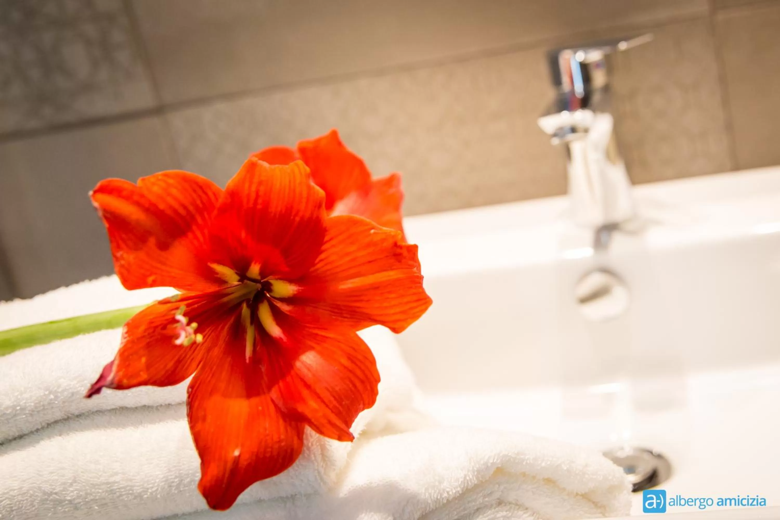 Bathroom in Hotel Amicizia