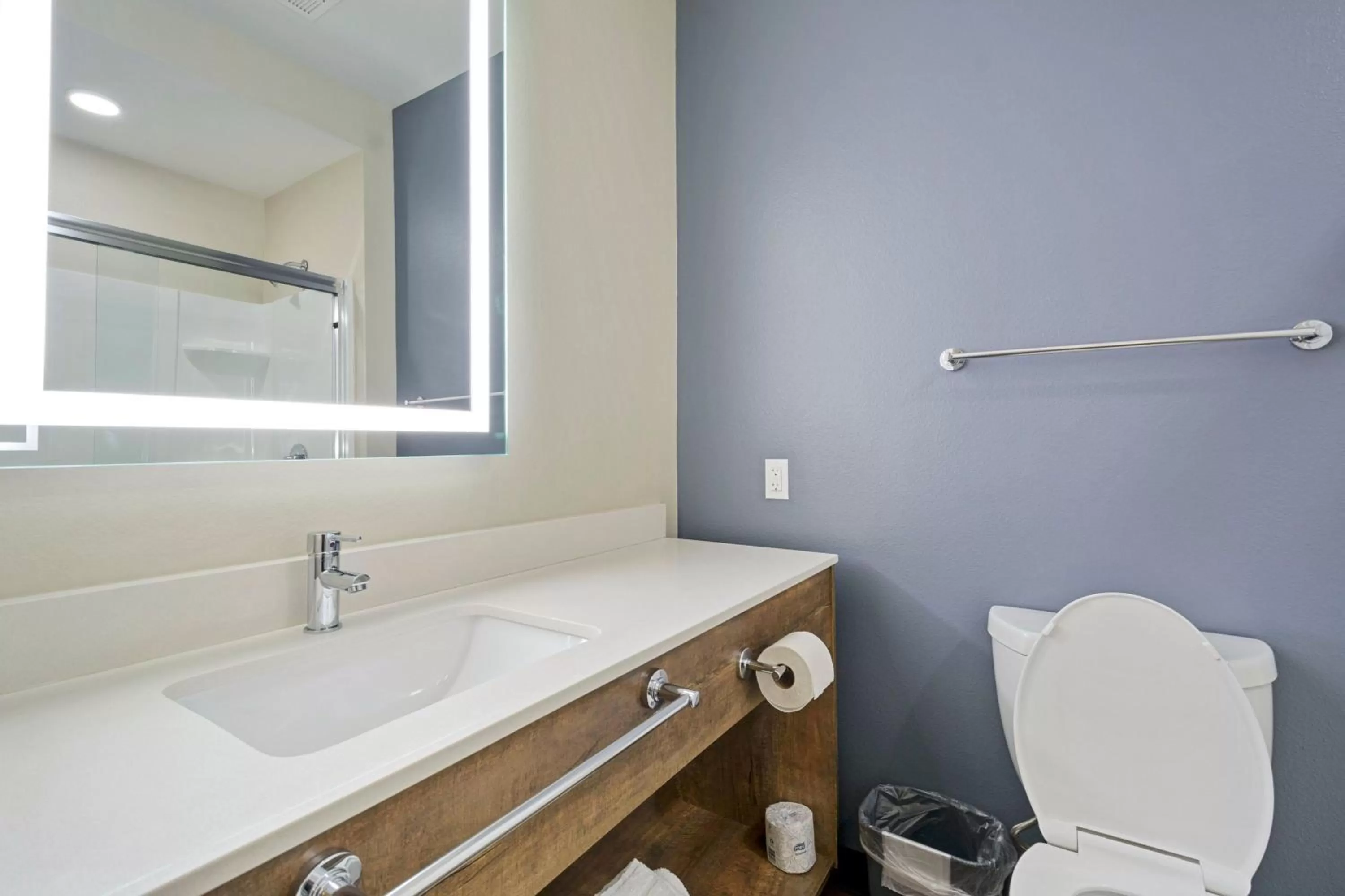 Bathroom in Extended Stay America Premier Suites - Austin - Austin Airport