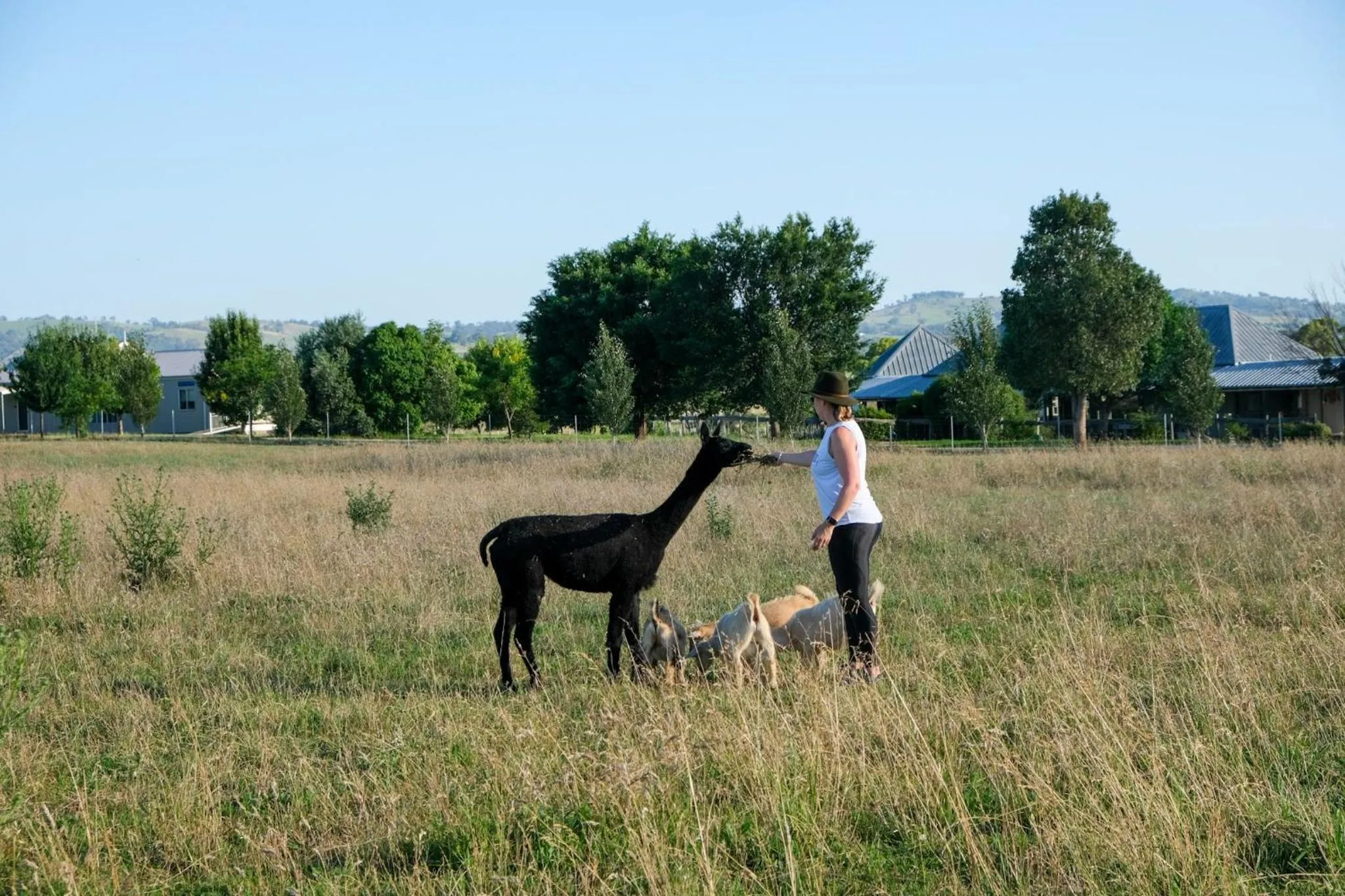 Garden in Owl Head Lodge