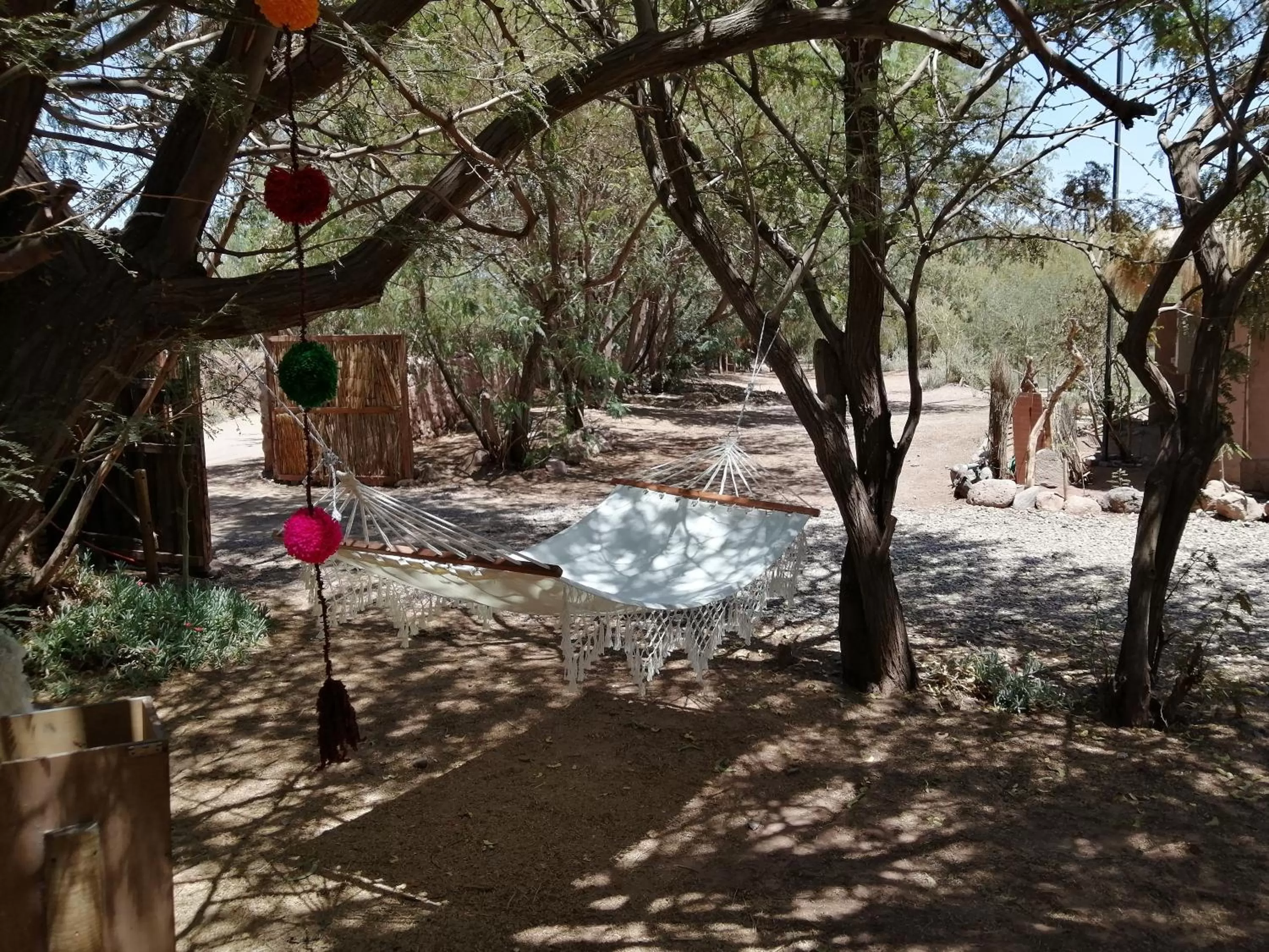 Natural landscape in CaminAndes Hostal