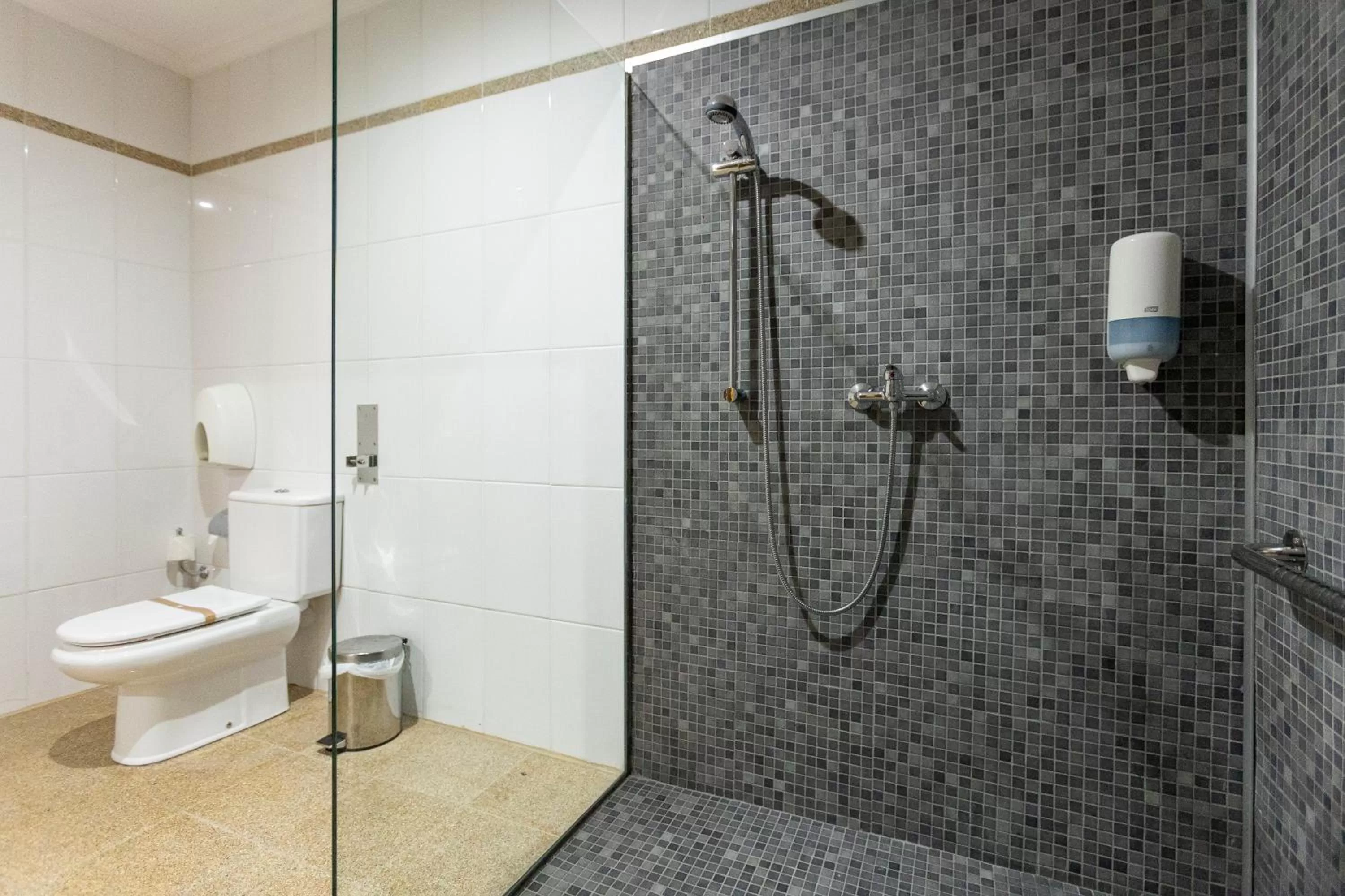 Facility for disabled guests in Hotel Alfonso I