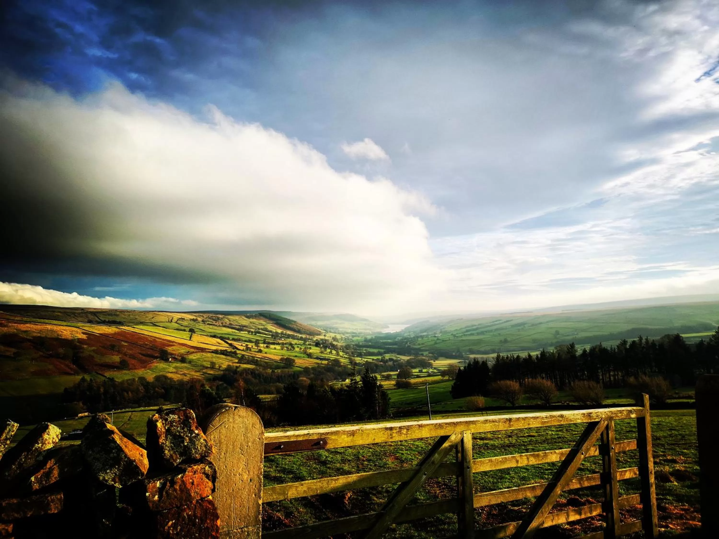 Natural landscape in Kell House Bed & Breakfast
