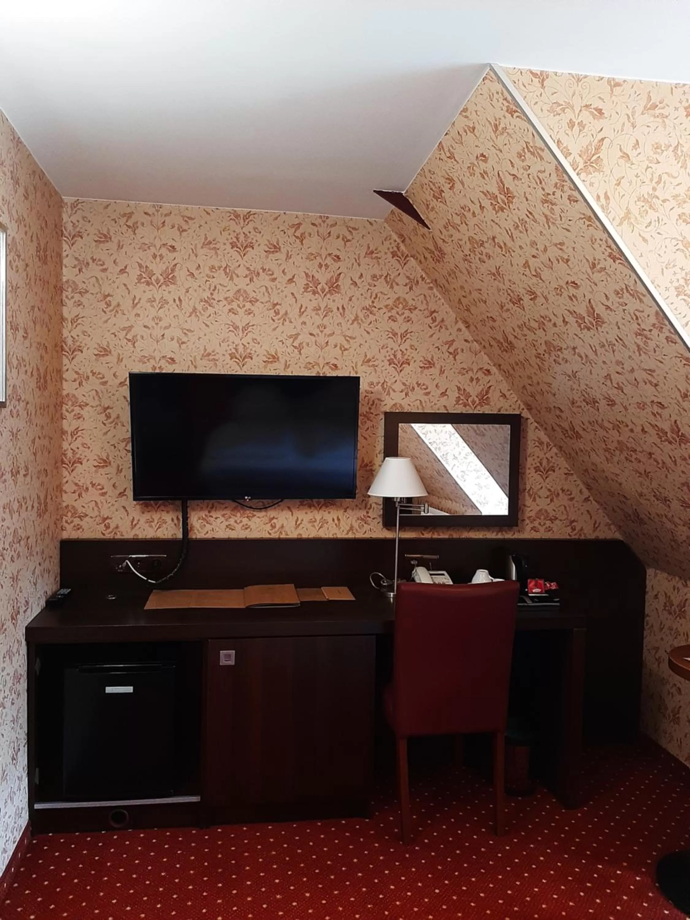 TV and multimedia in Hotel 1231