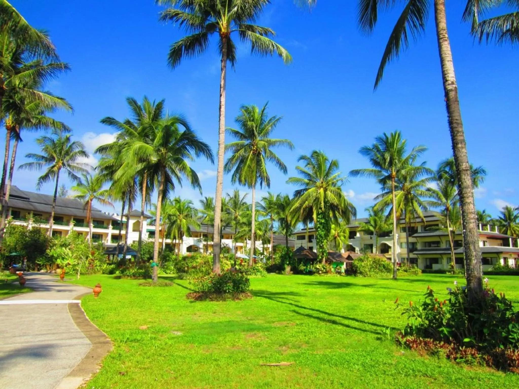 Area and facilities in Khaolak Orchid Beach Resort - SHA Extra Plus