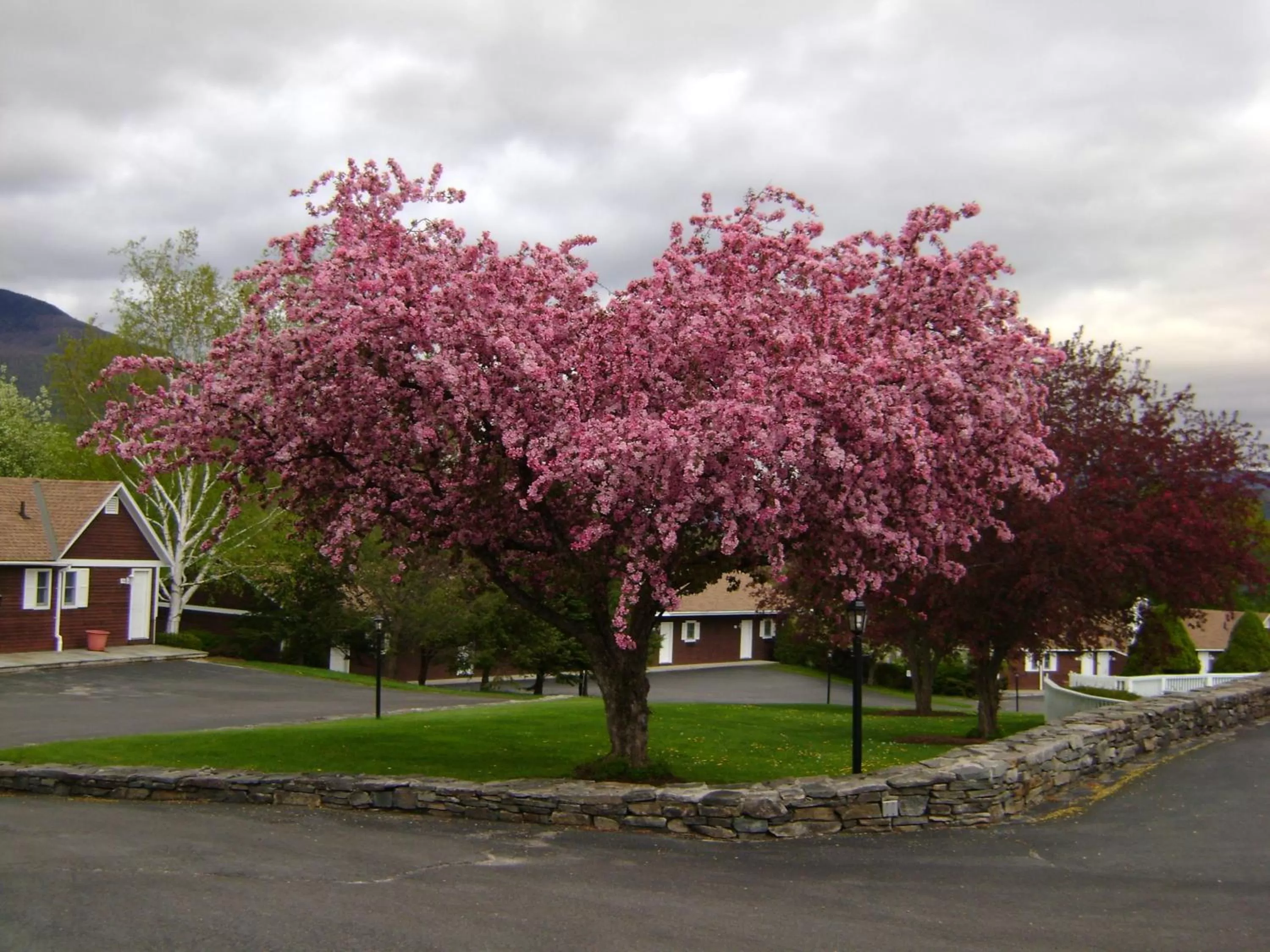 View (from property/room) in Manchester View