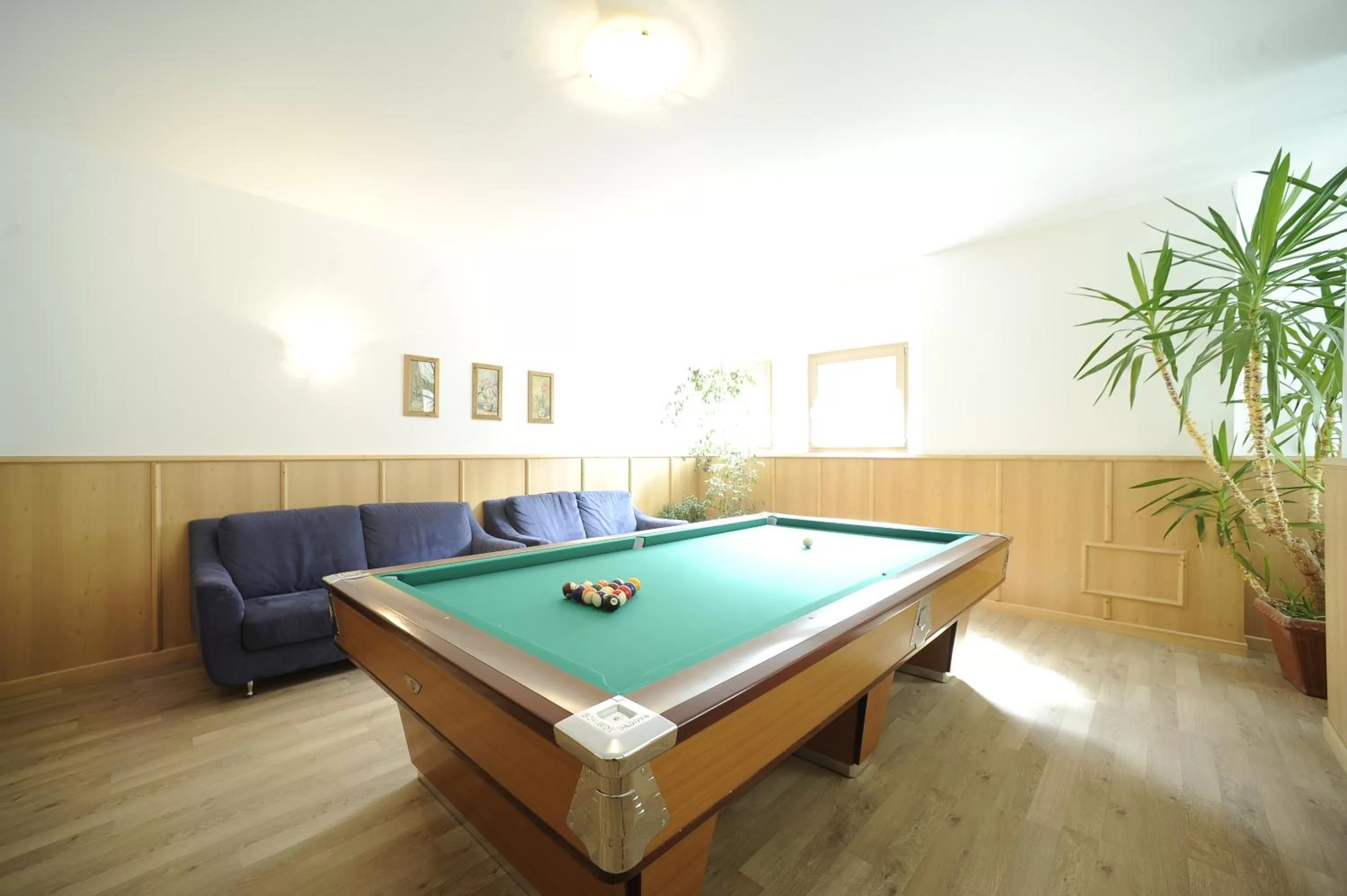 Billiard in Aparthotel Wellness Villa di Bosco