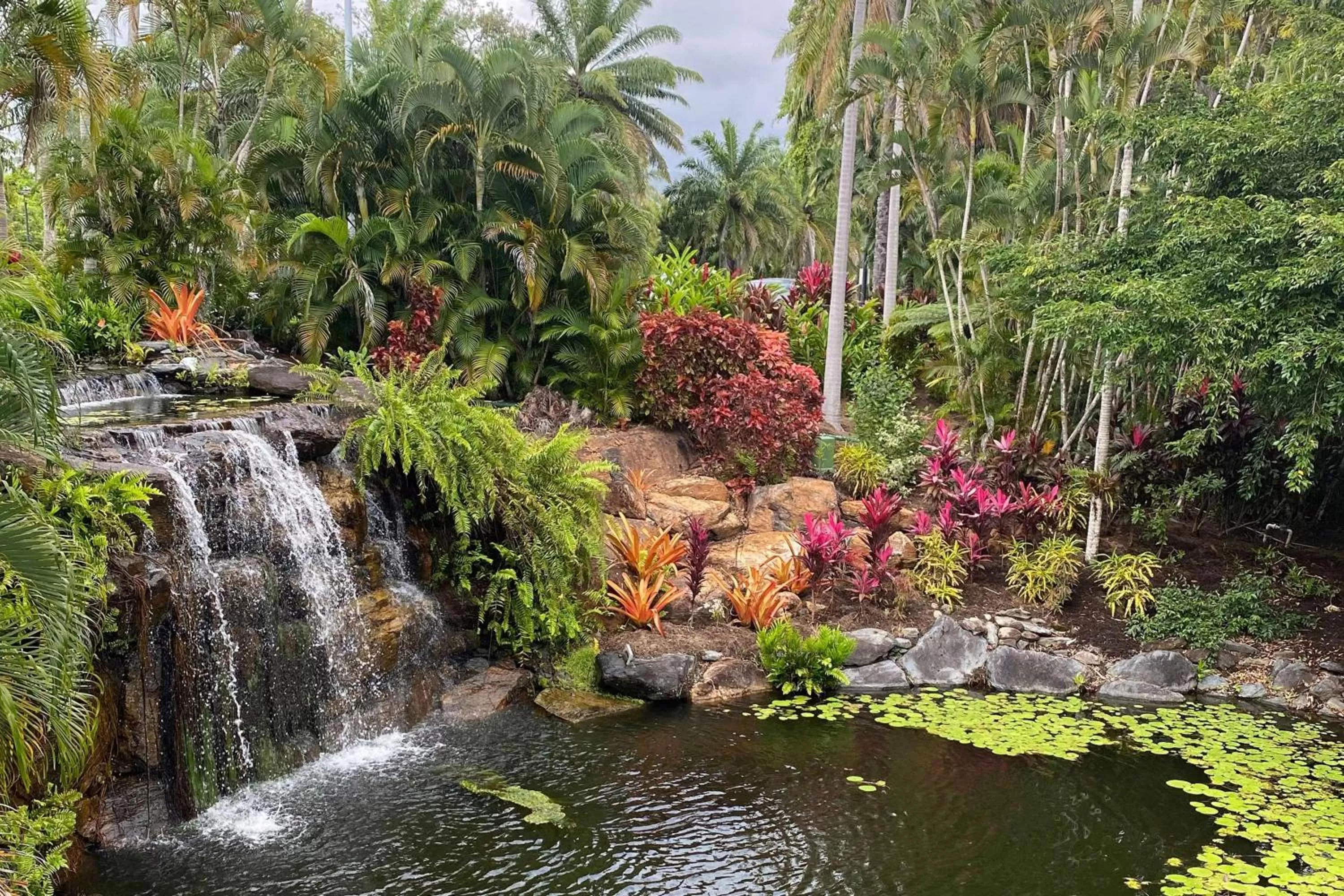 Other in Sheraton Grand Mirage Resort, Port Douglas