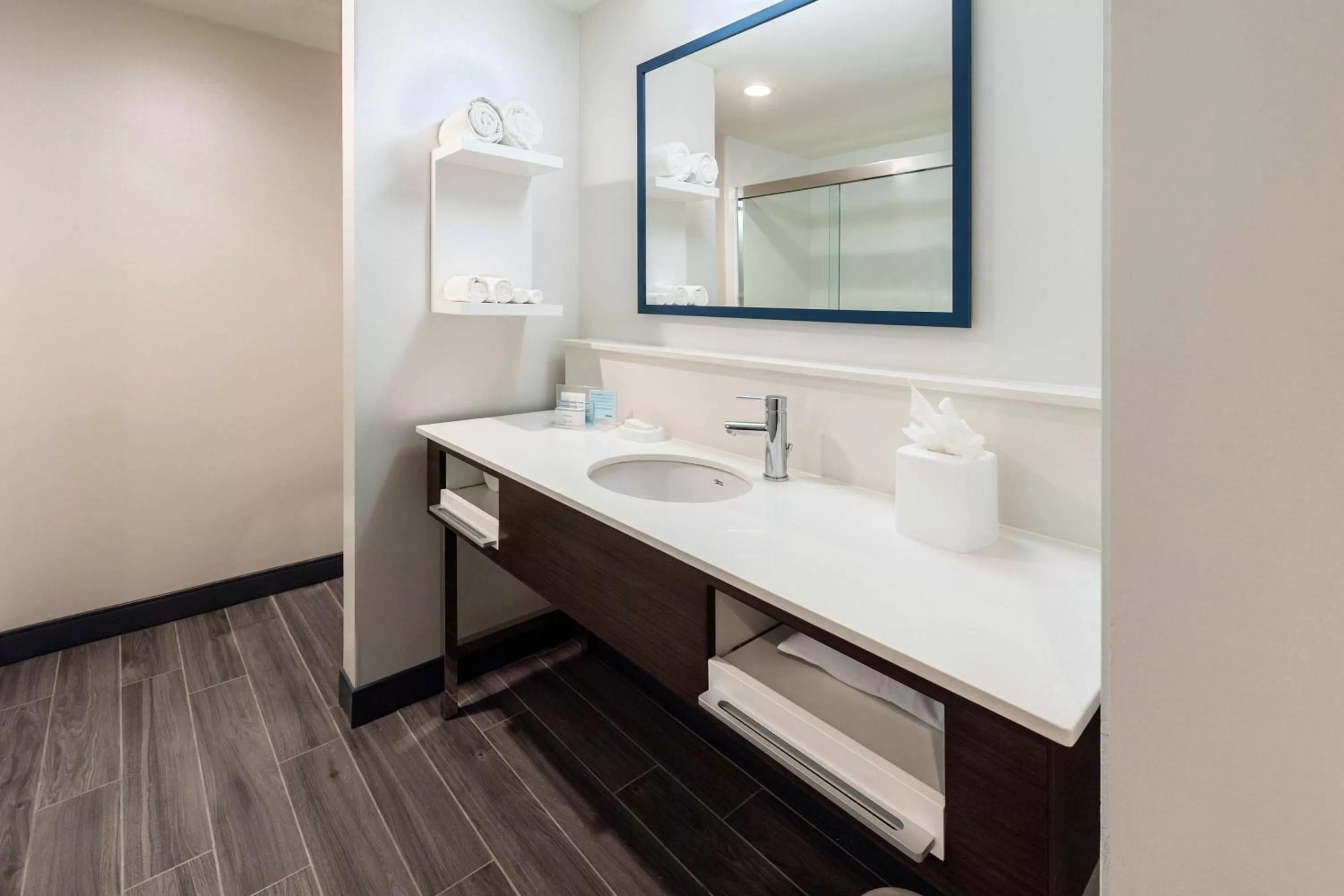 Bathroom in Hampton Inn & Suites Snellville Atlanta Ne