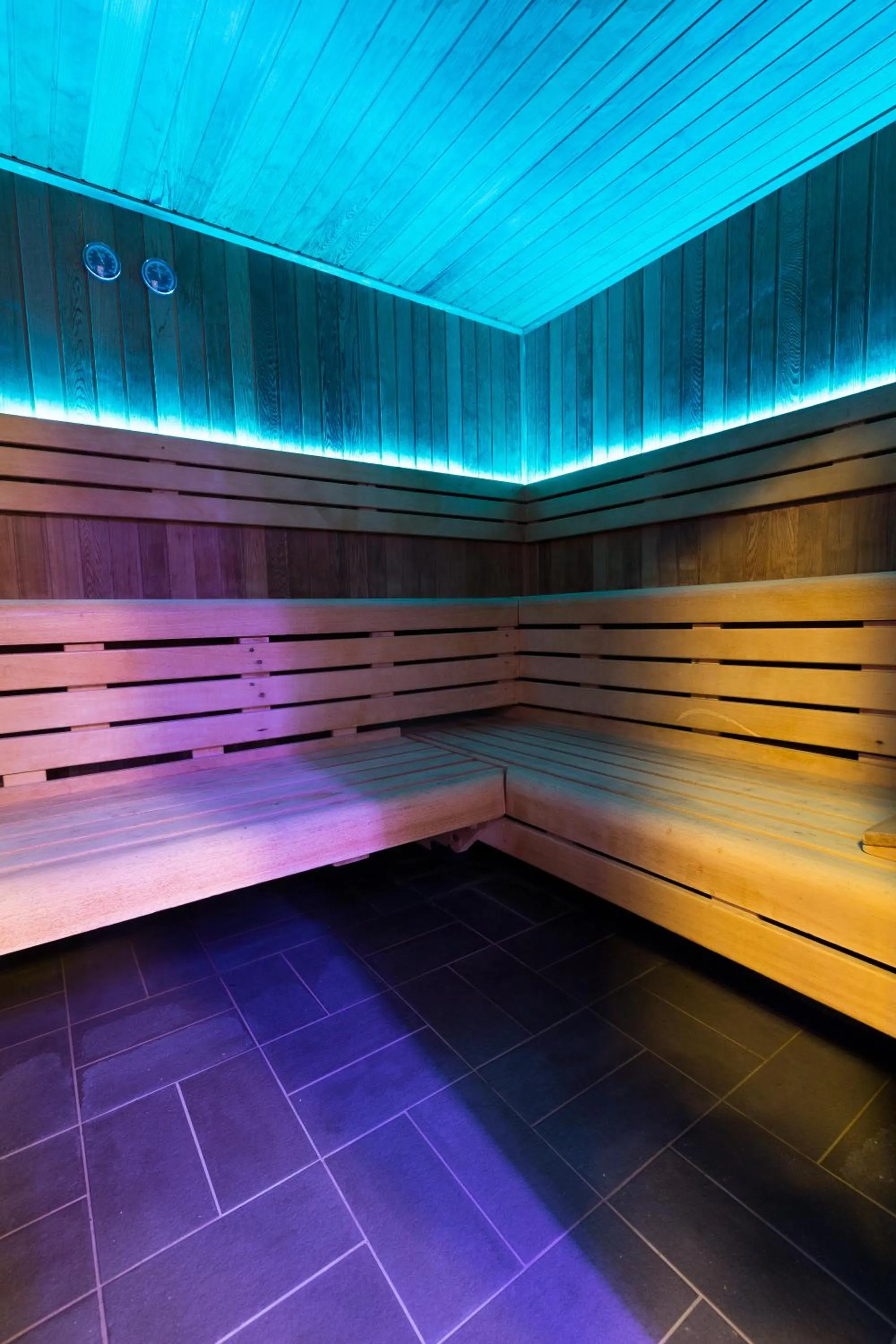 Sauna in Fletcher Wellness-Hotel Stadspark