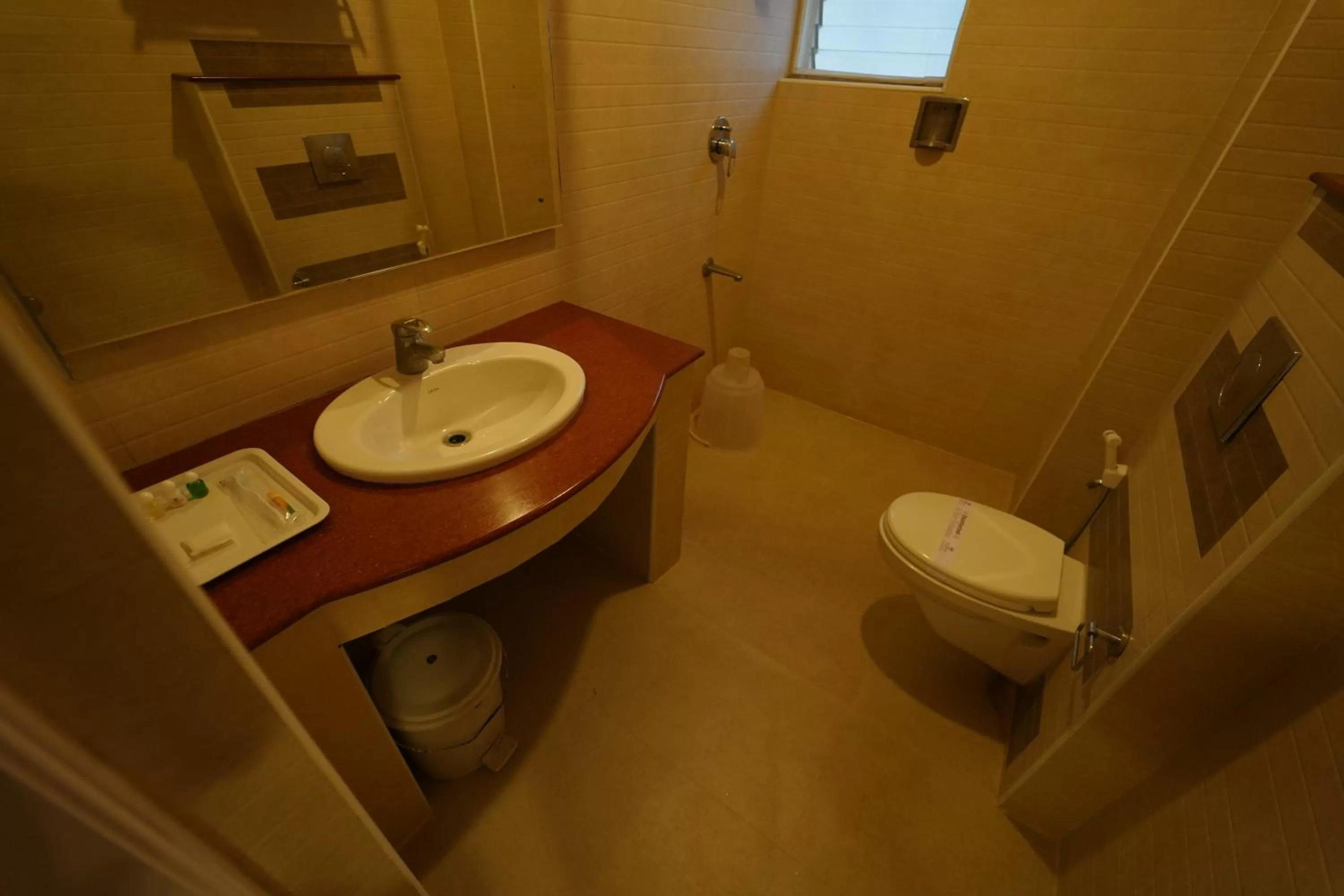 Shower in Hotel Palmyra Grand Inn