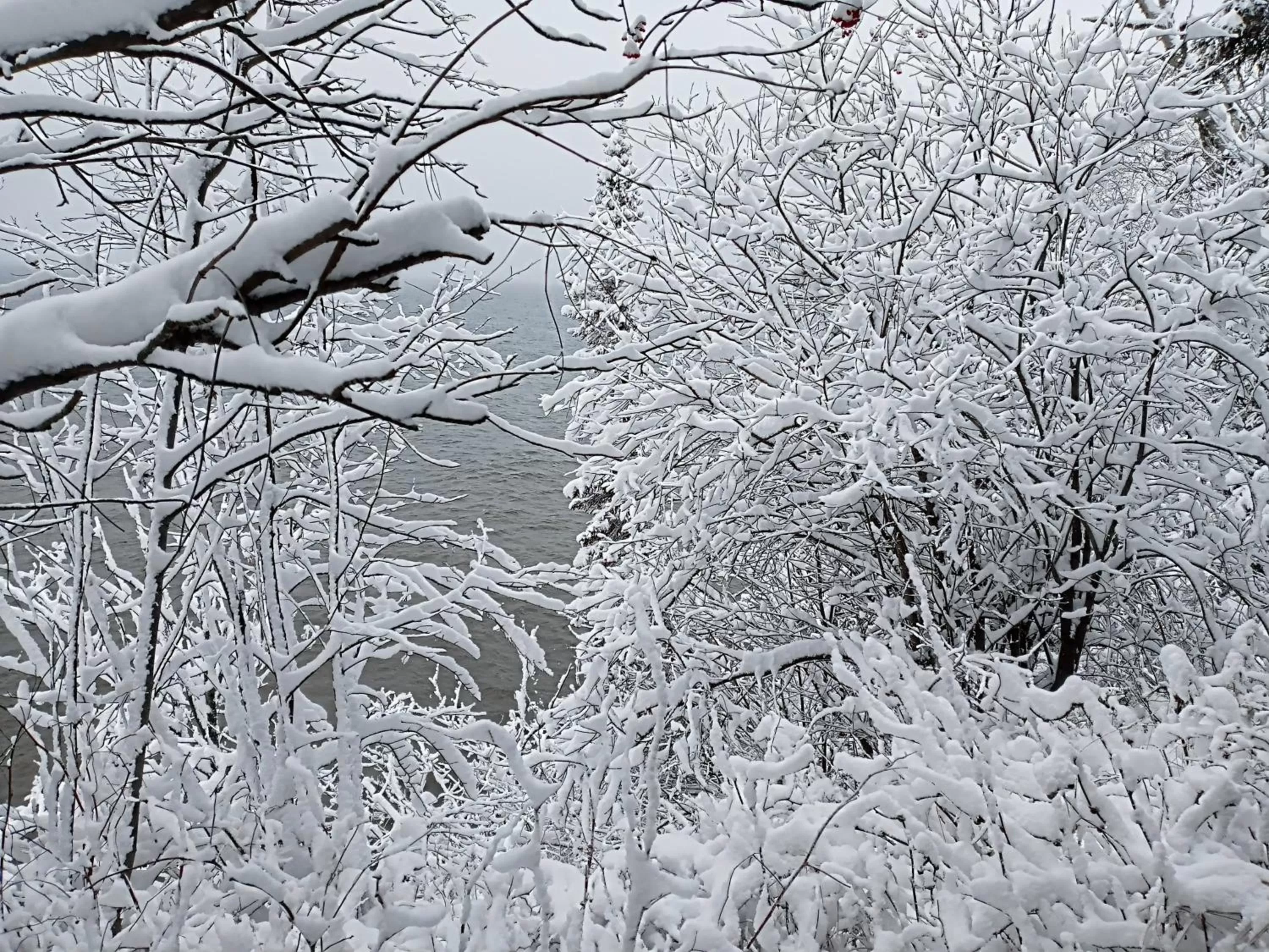 Natural landscape in Cliff Dweller on Lake Superior