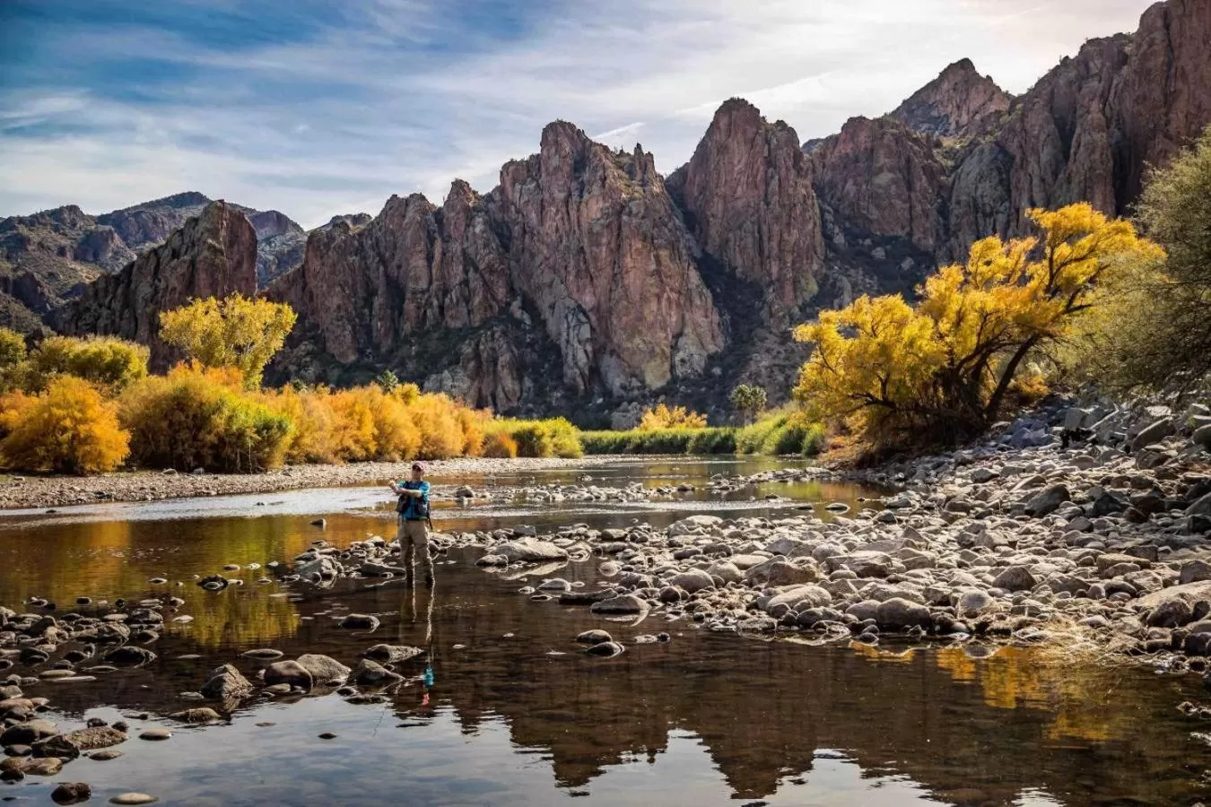 Natural landscape in Hyatt Place Phoenix/ Mesa