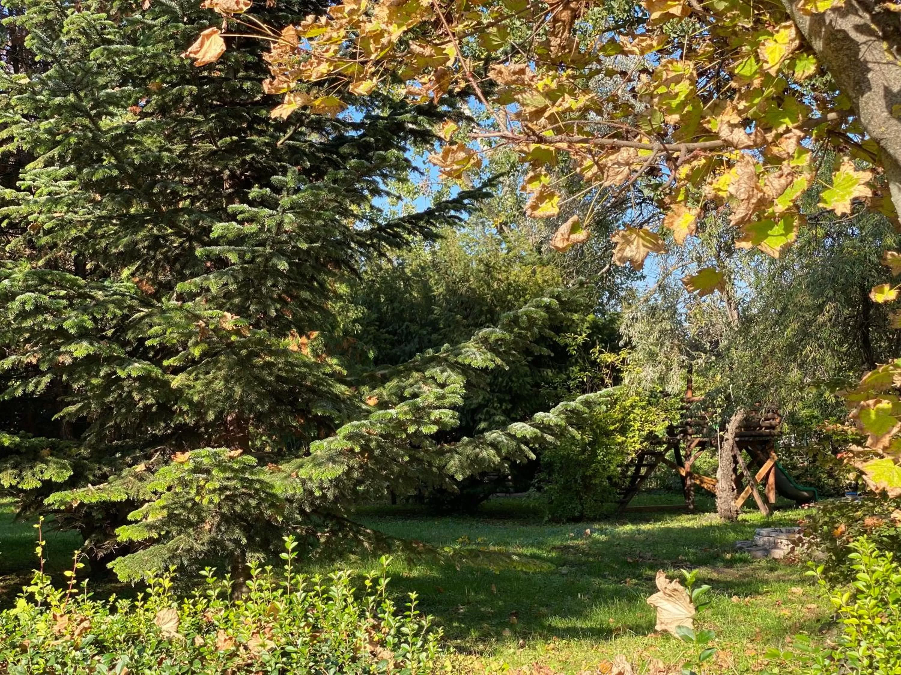 Off site in A Fogadó