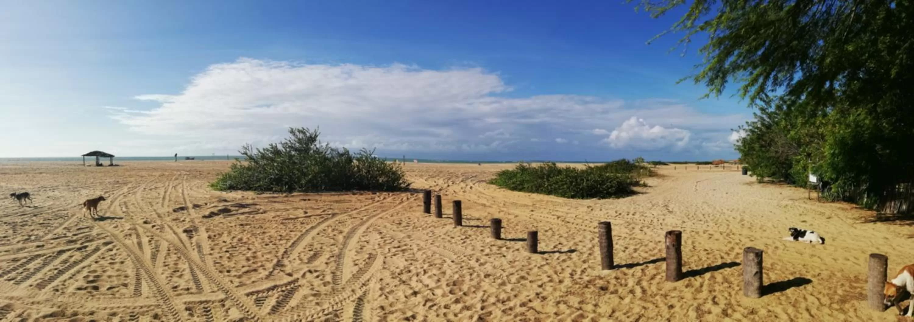 Beach in Pousada Casa de João Kitehouse