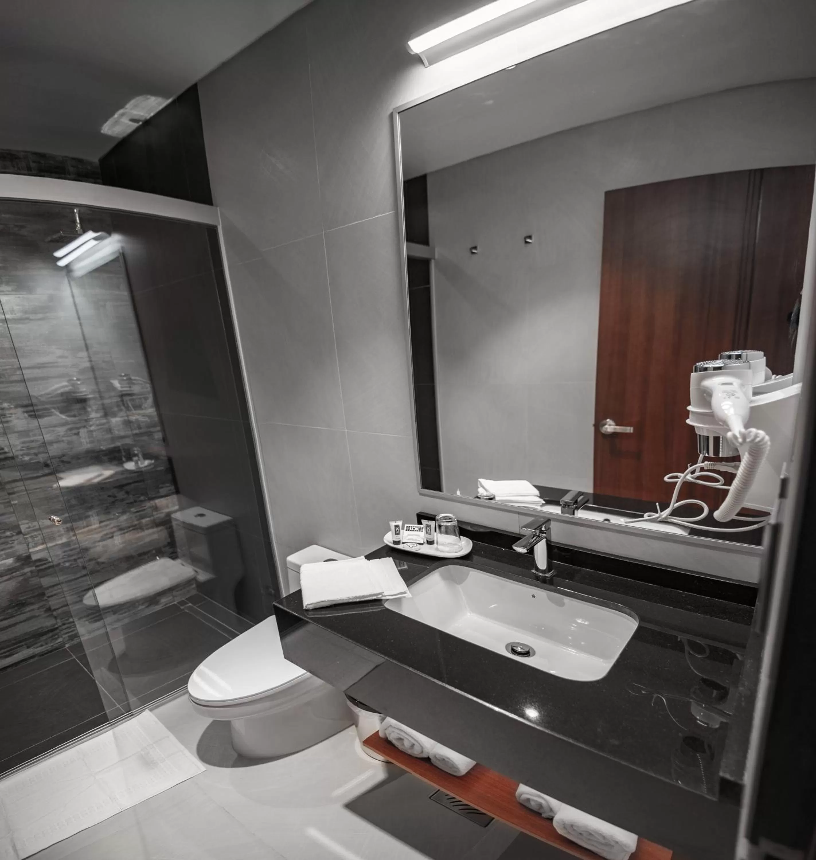 Shower in Mitru Express Hotel