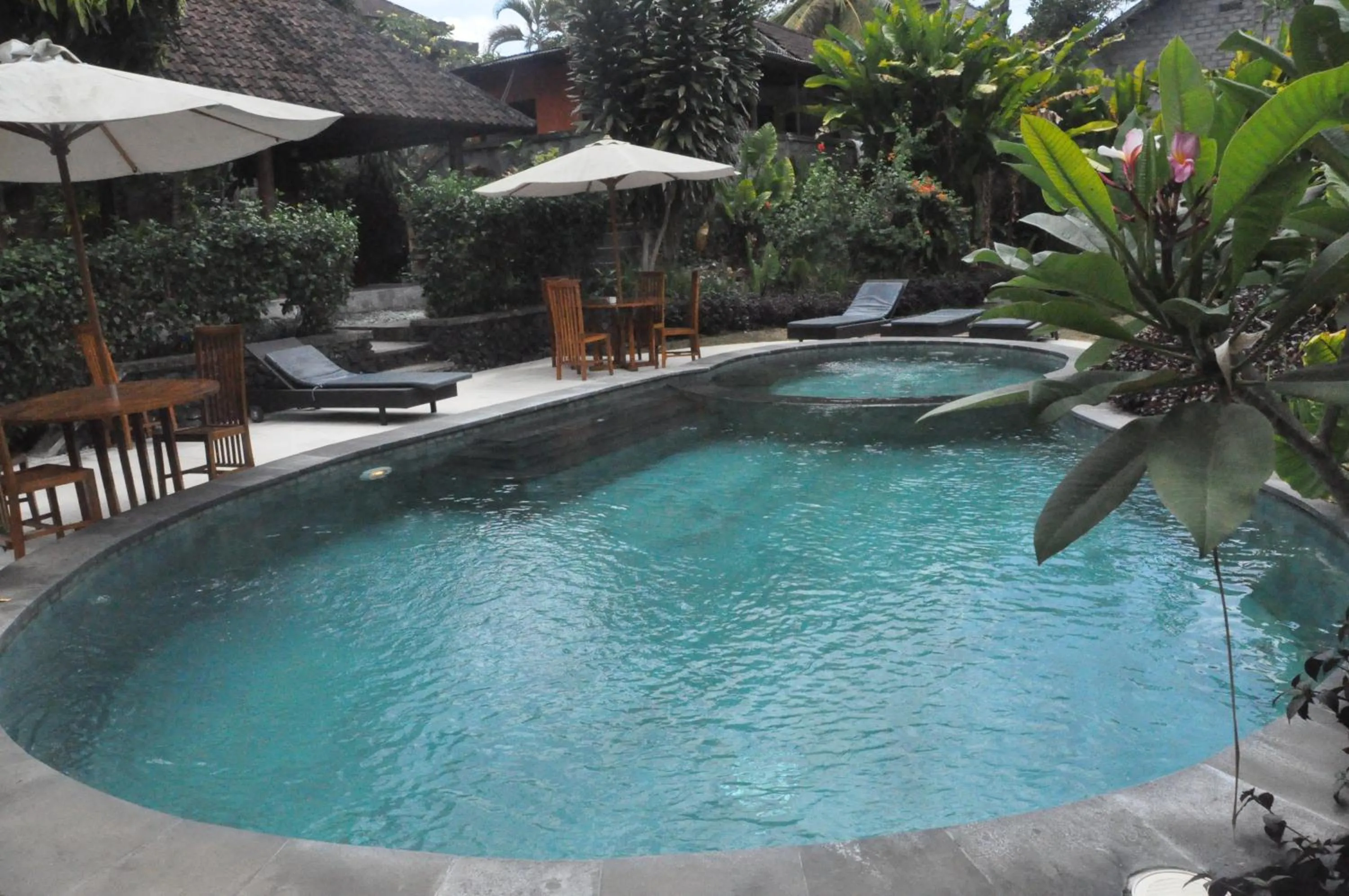 Swimming pool in Argasoka Bungalows