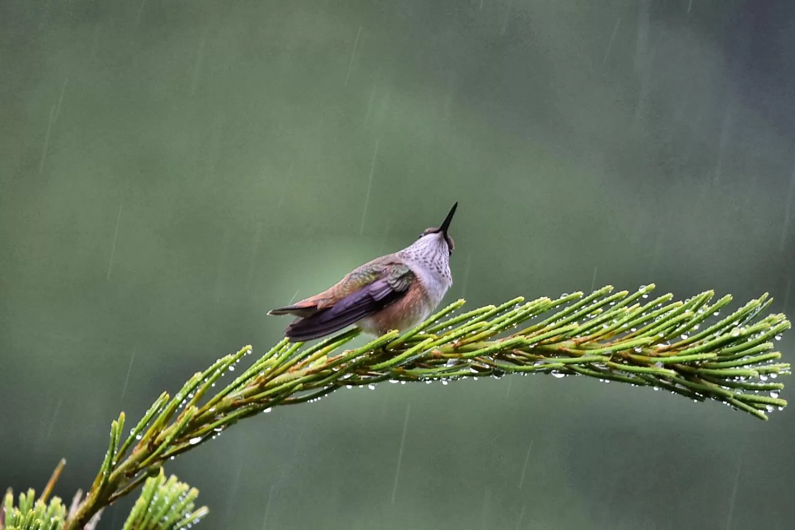 View (from property/room) in Otter's Pond Bed and Breakfast