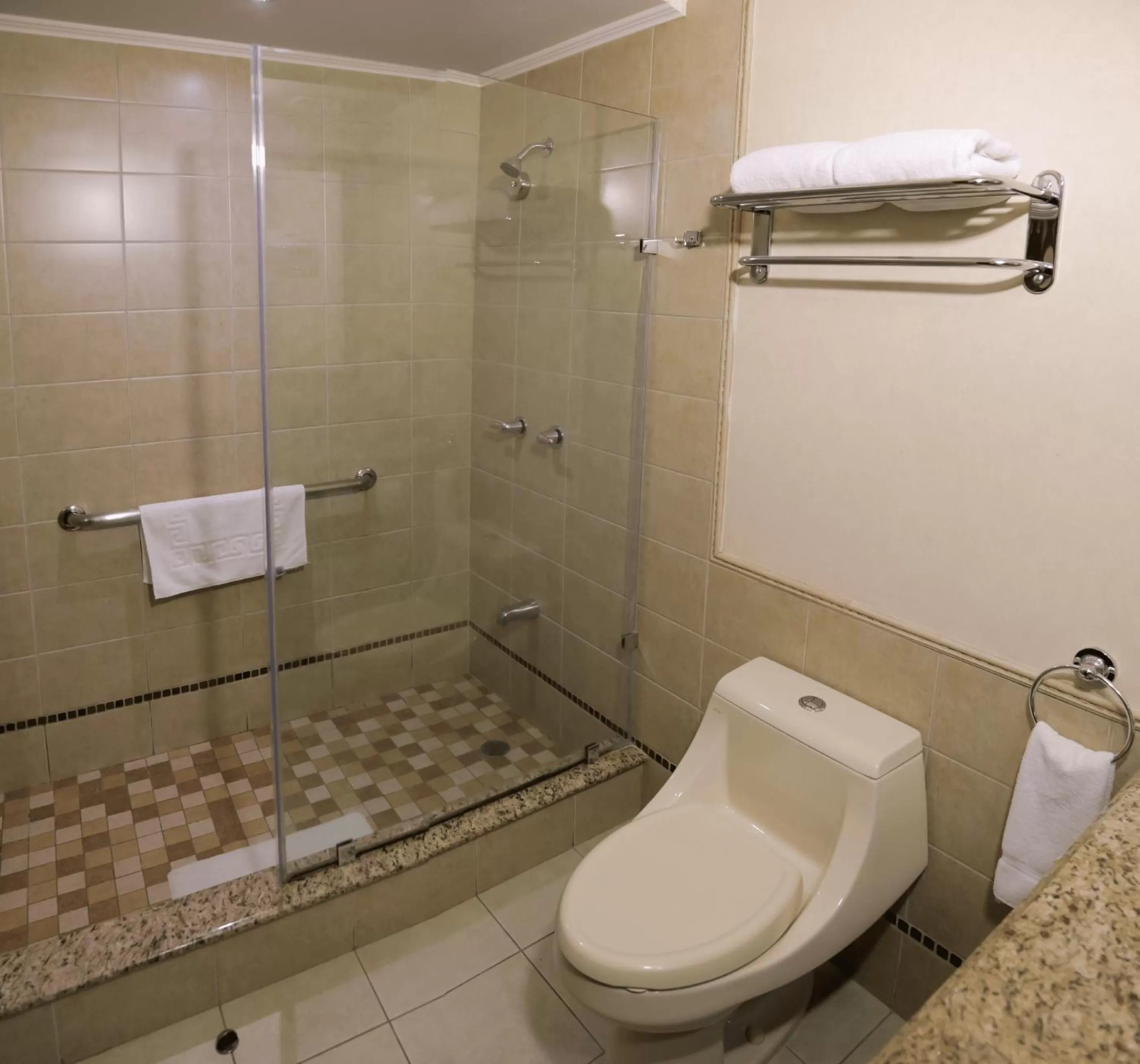 Hotel Plaza Juan Carlos