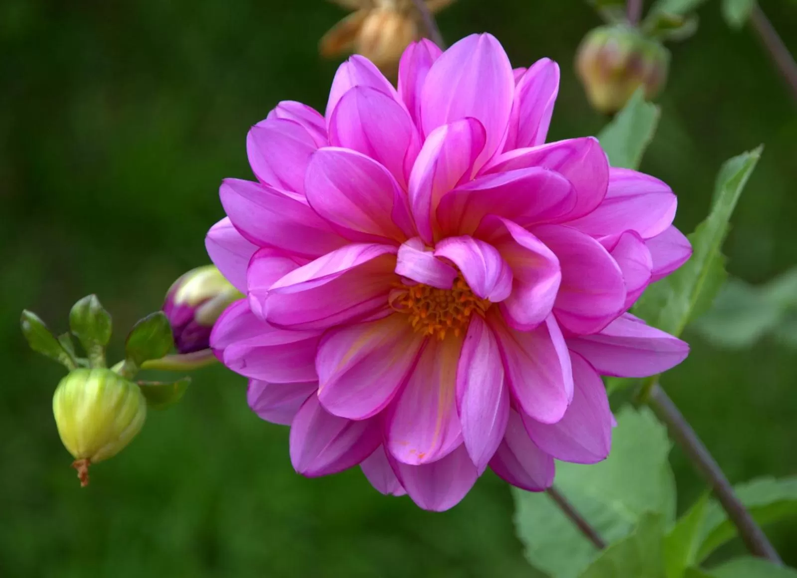 Other in El Pedregal Sopó