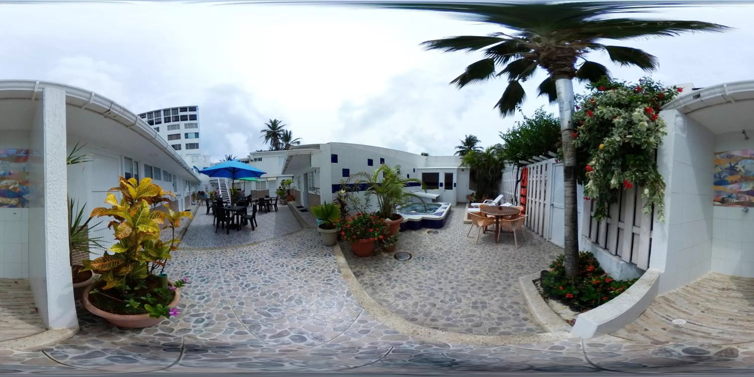 Garden in Villa San Miguel