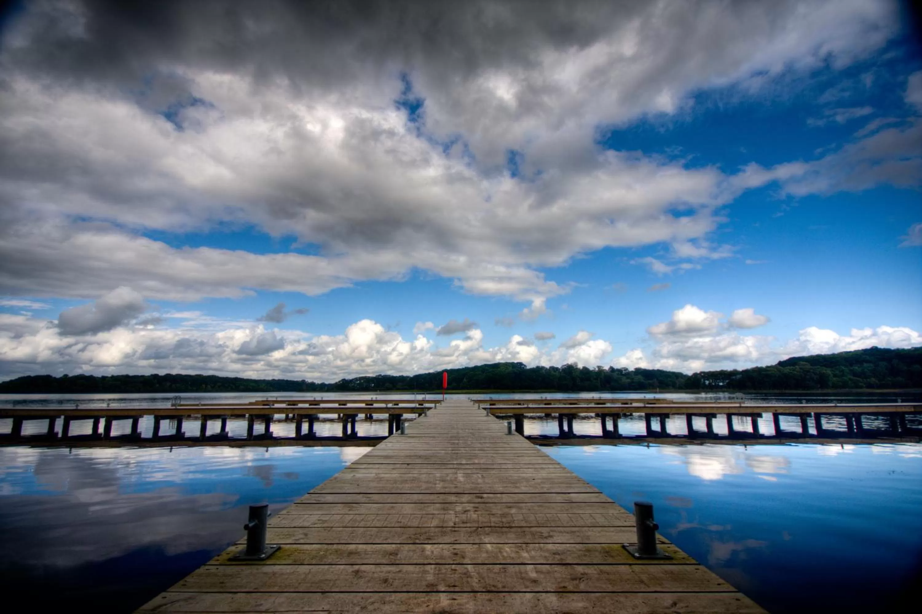 Natural landscape in Belmore Court & Motel