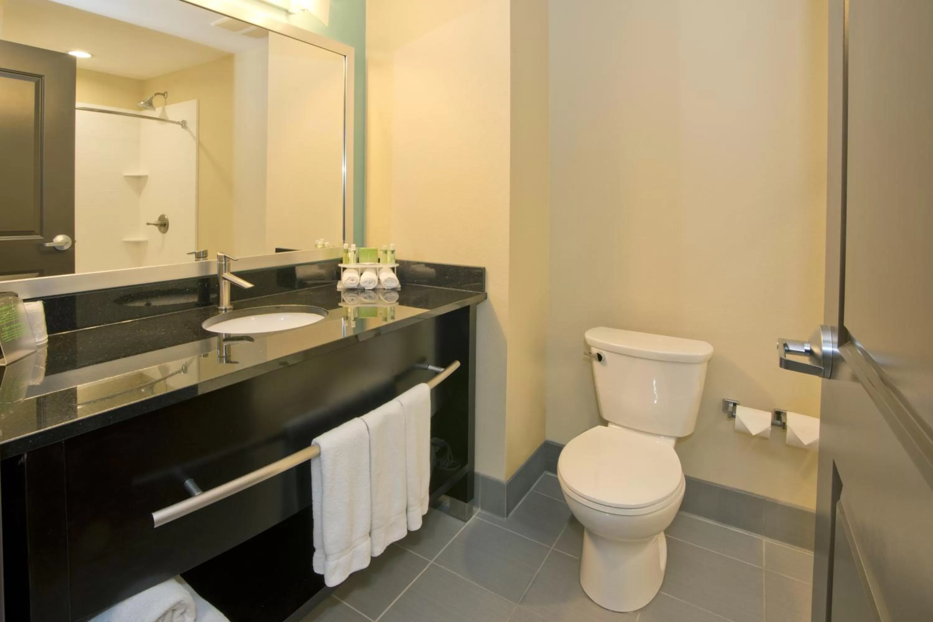 Bathroom in Holiday Inn Express & Suites Colorado Springs Central by IHG