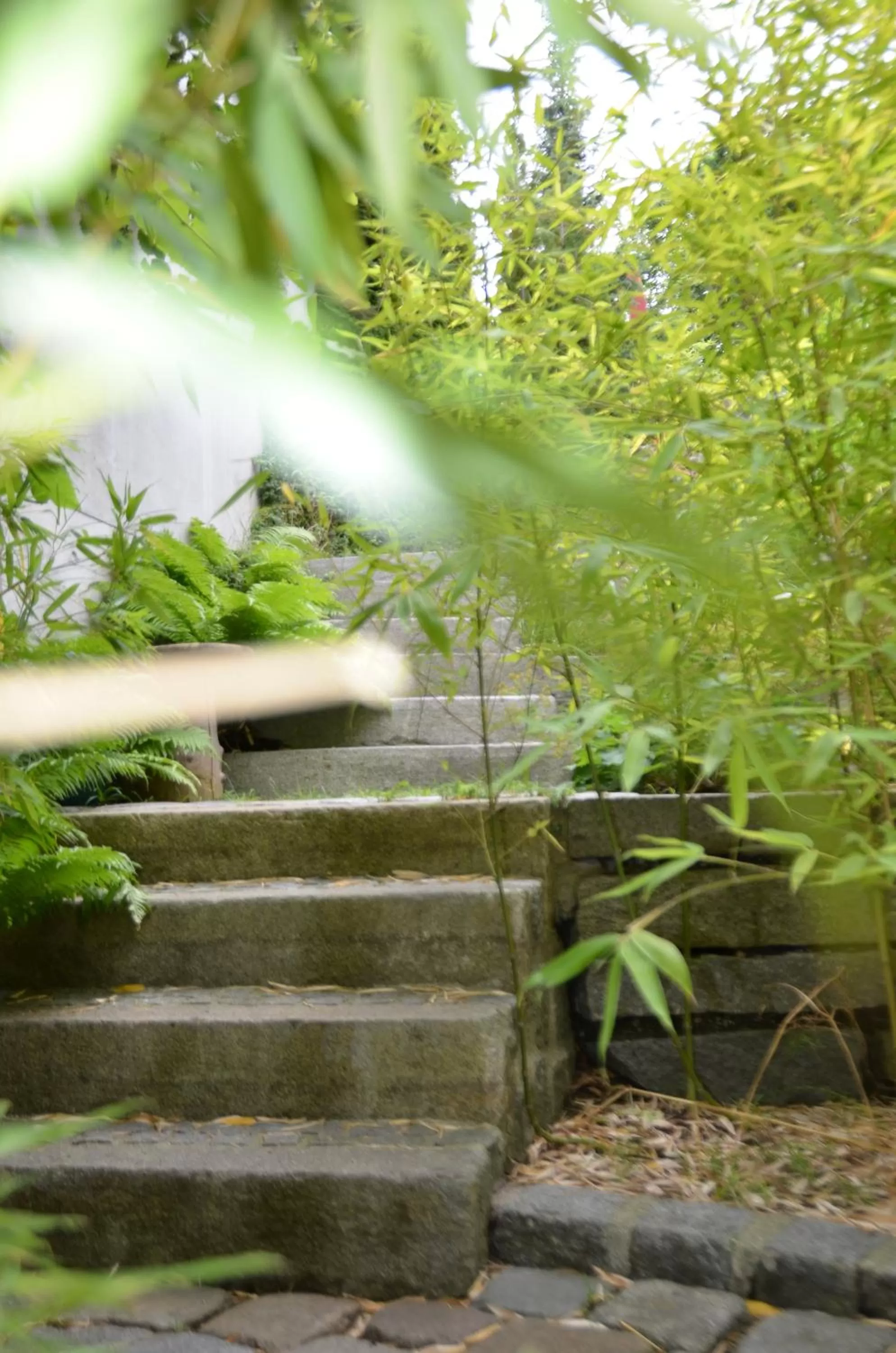 Other in Ringhotel Alpenhof - Patchworkhotel