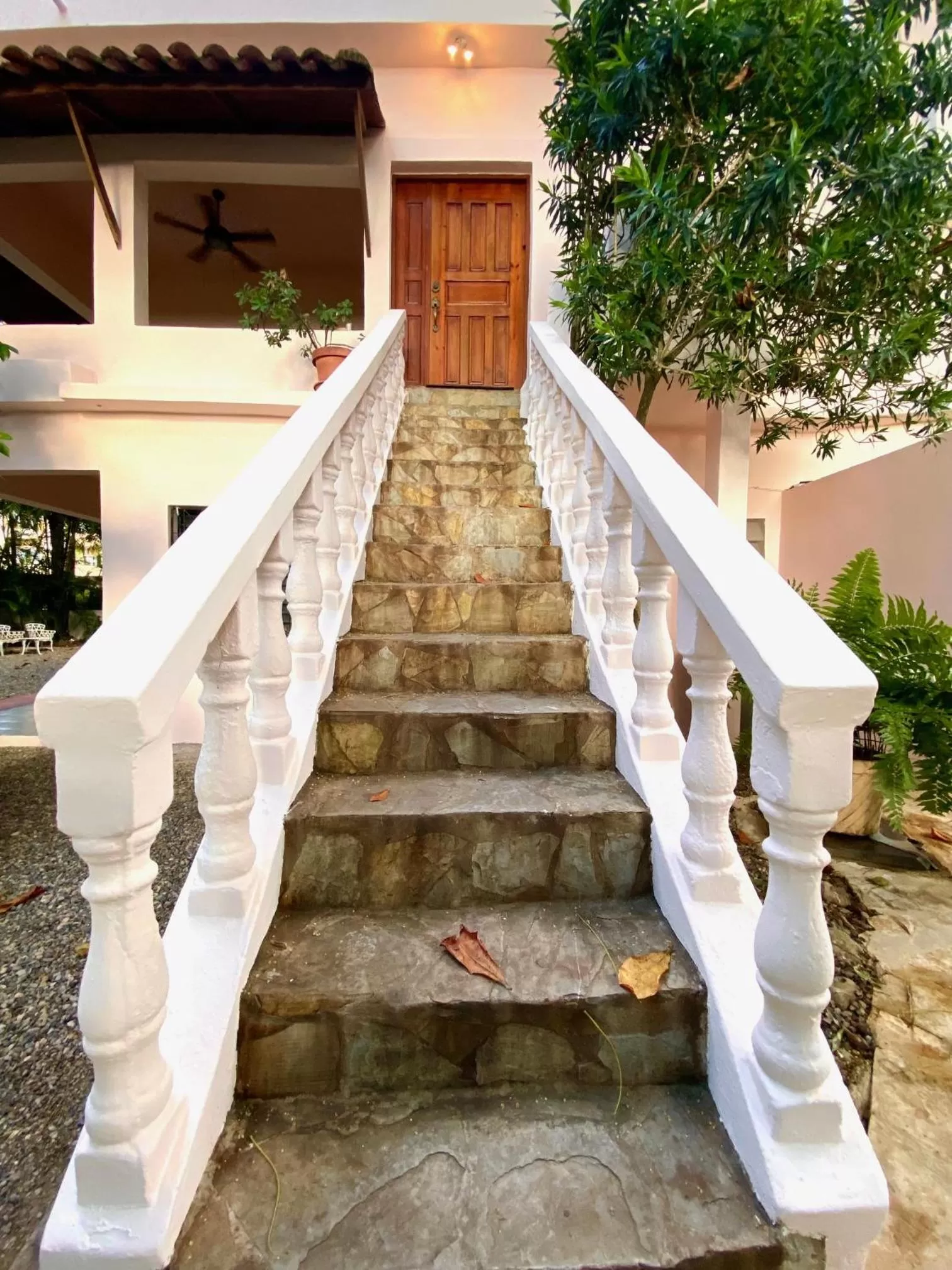 Property building in Hotel Alegria