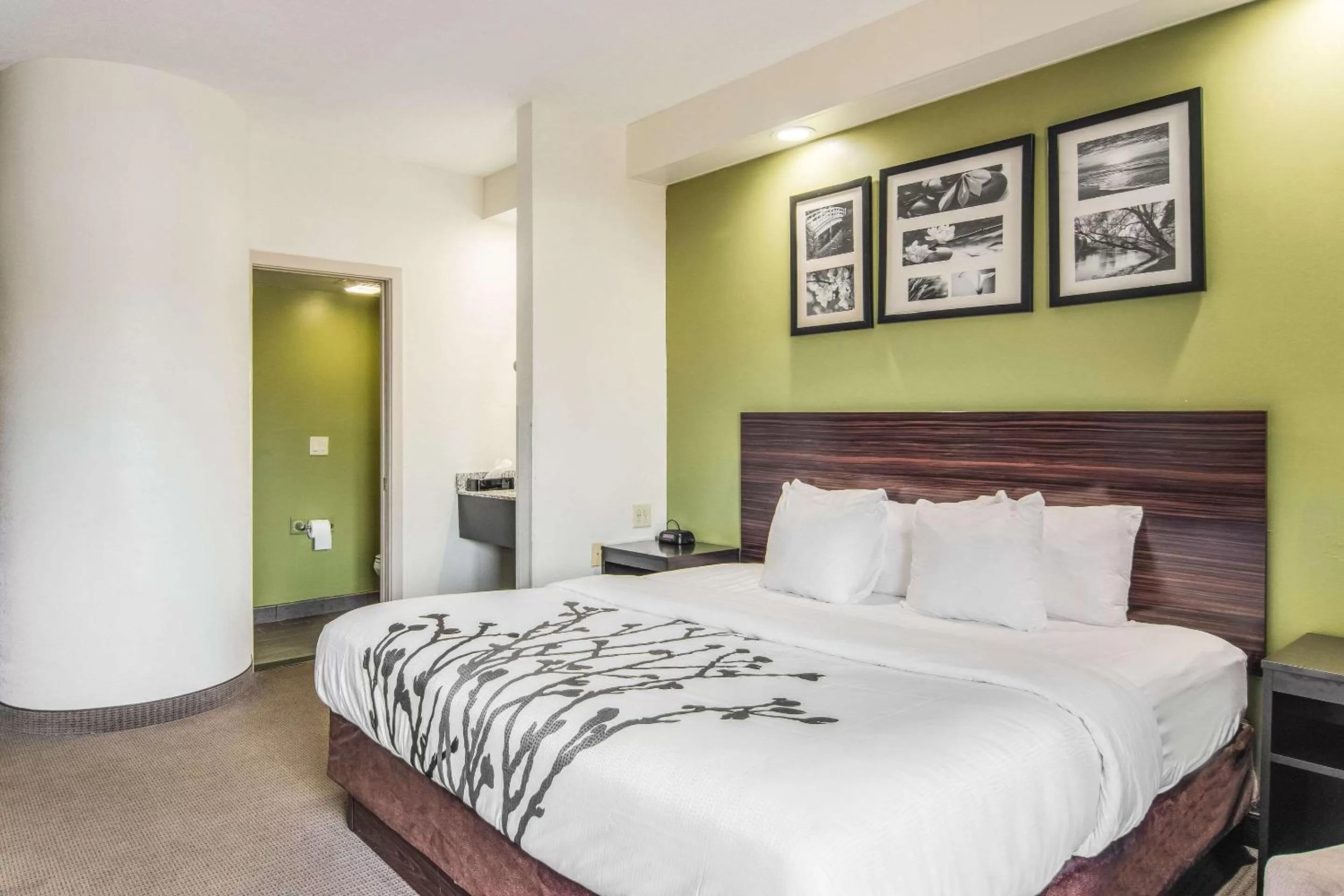 Photo of the whole room, Bed in Sleep Inn Austintown - Youngstown, West