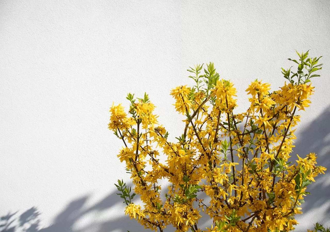 Property building in The Greenhouse