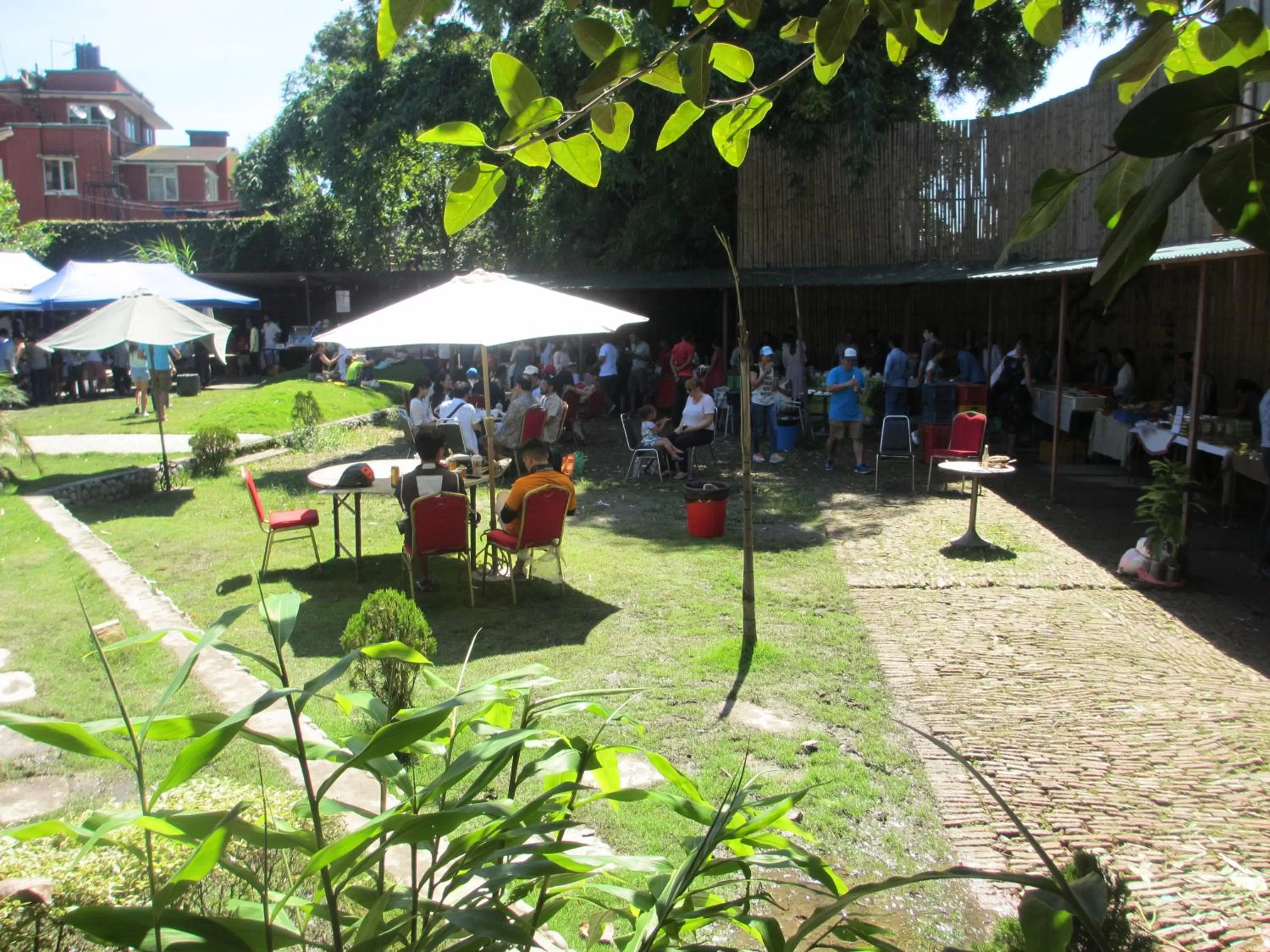 Activities in The Museum