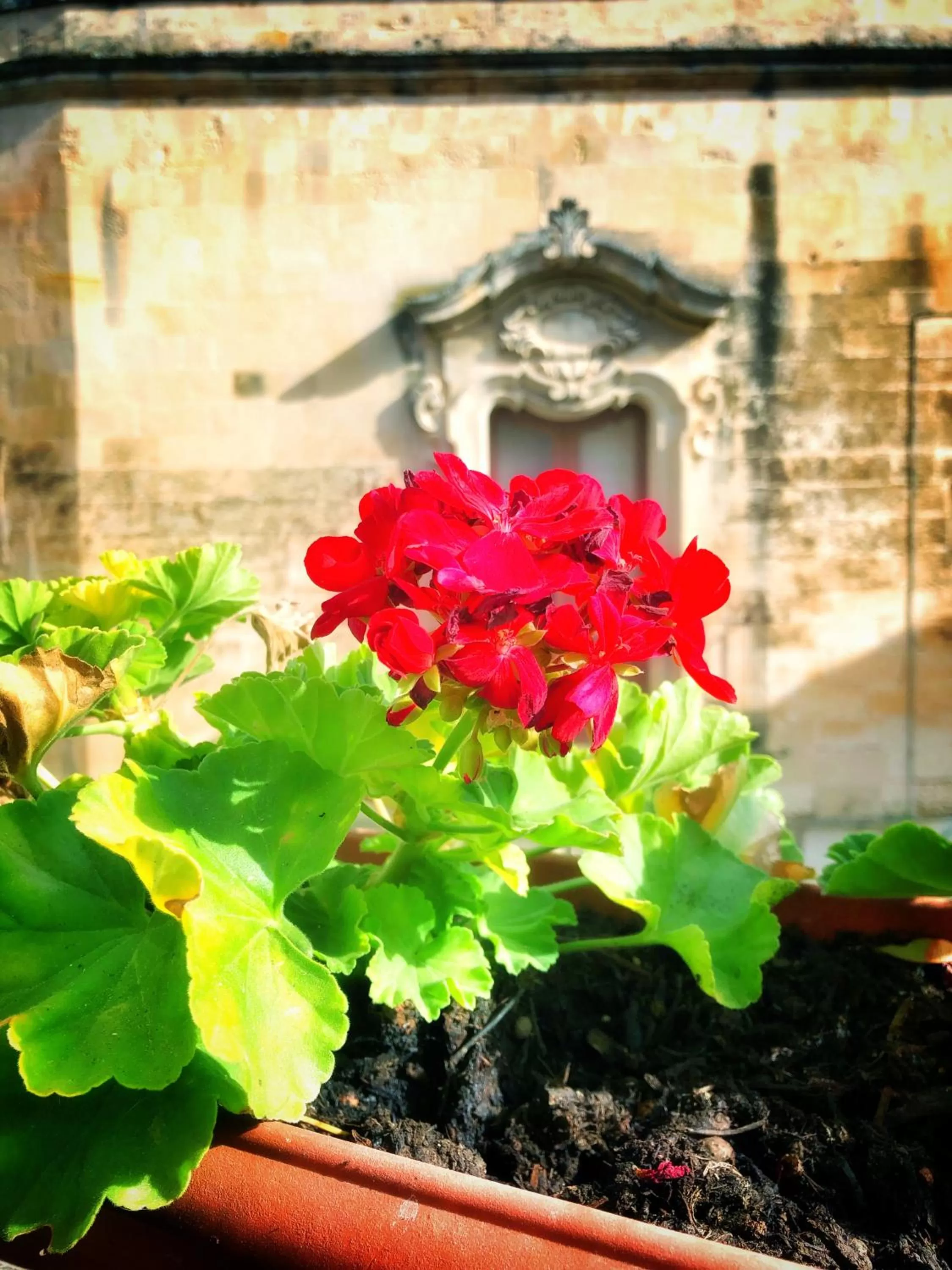 View (from property/room) in Palazzo Salìa
