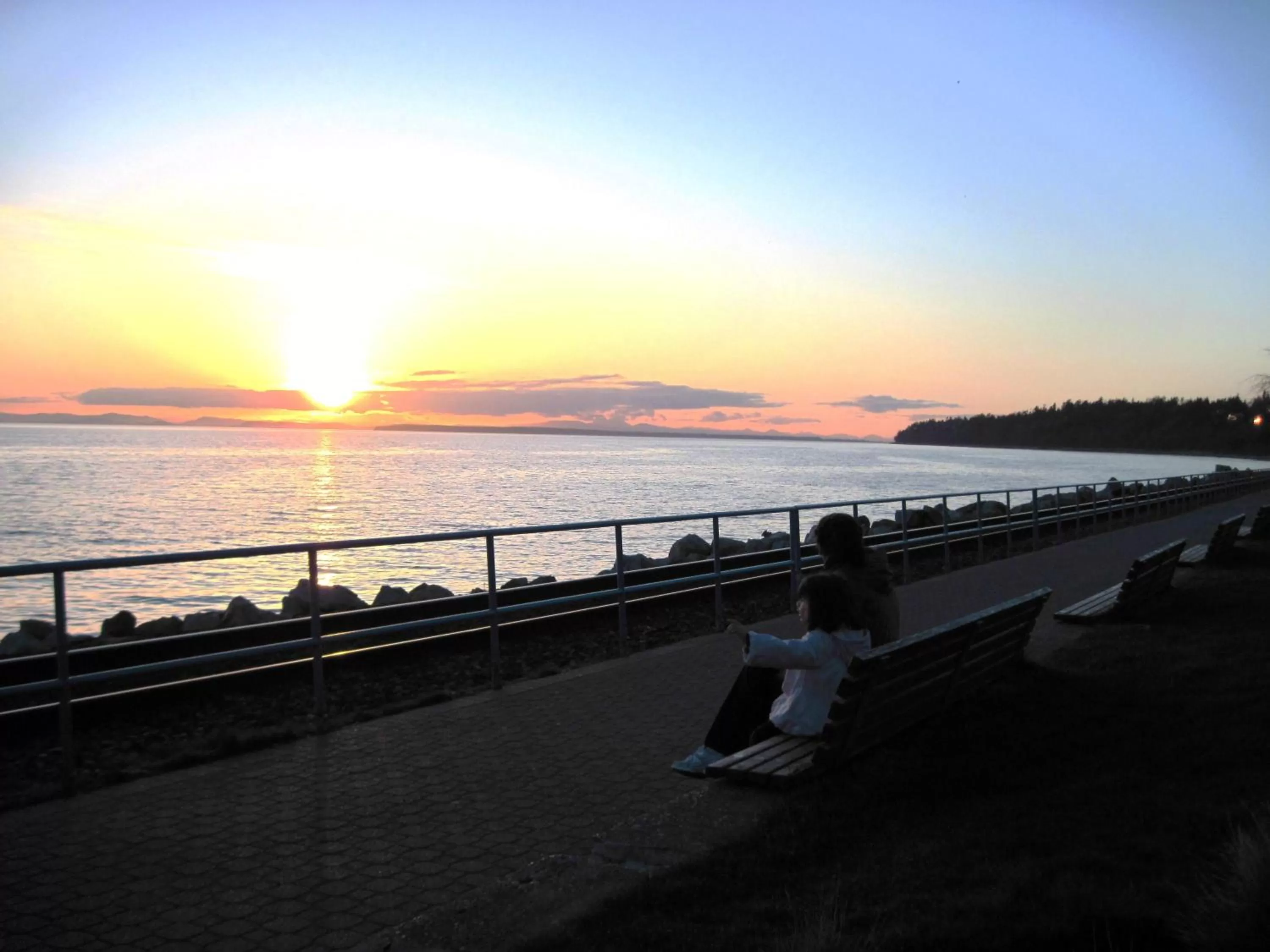 View (from property/room) in Ocean Promenade Hotel