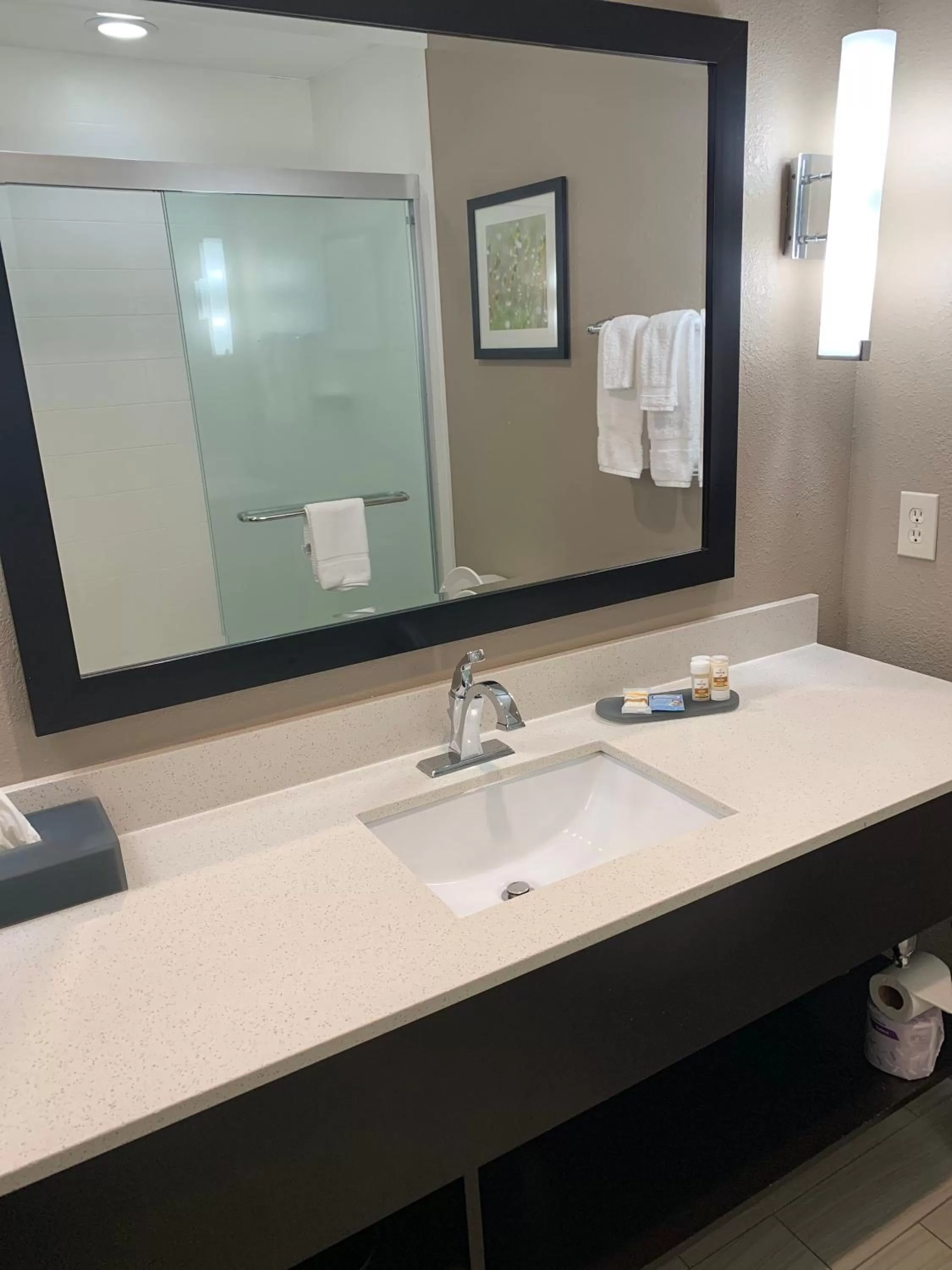 Bathroom in La Quinta by Wyndham Hattiesburg - I-59