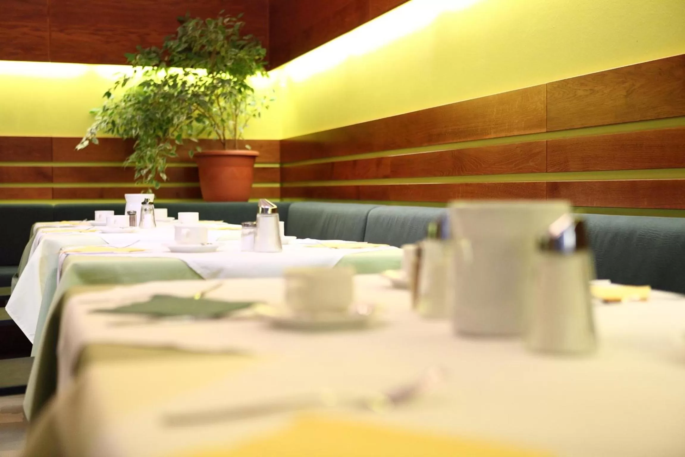 Restaurant/places to eat in Hotel Caroline