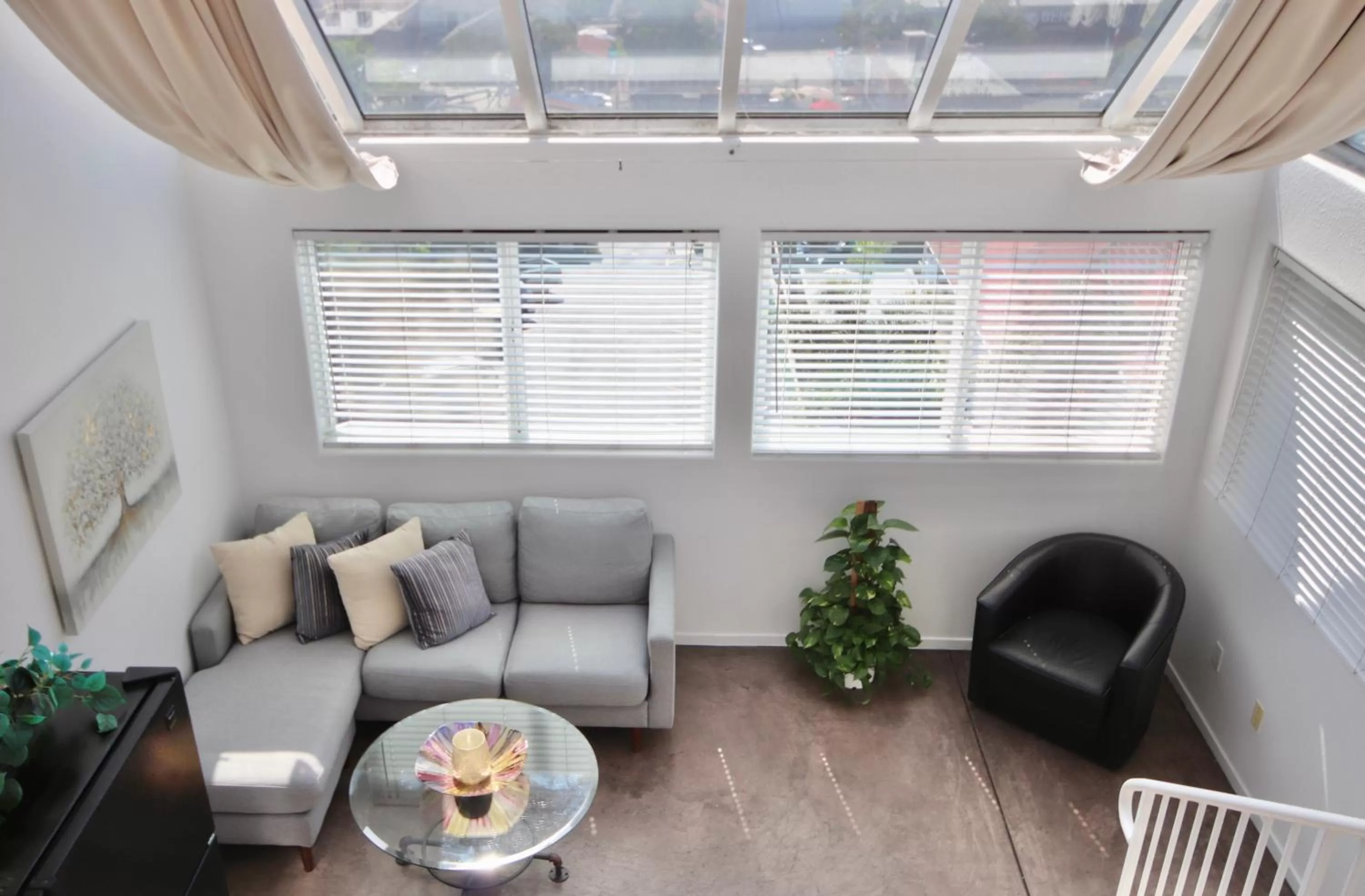 Little Italy Modern Lofts