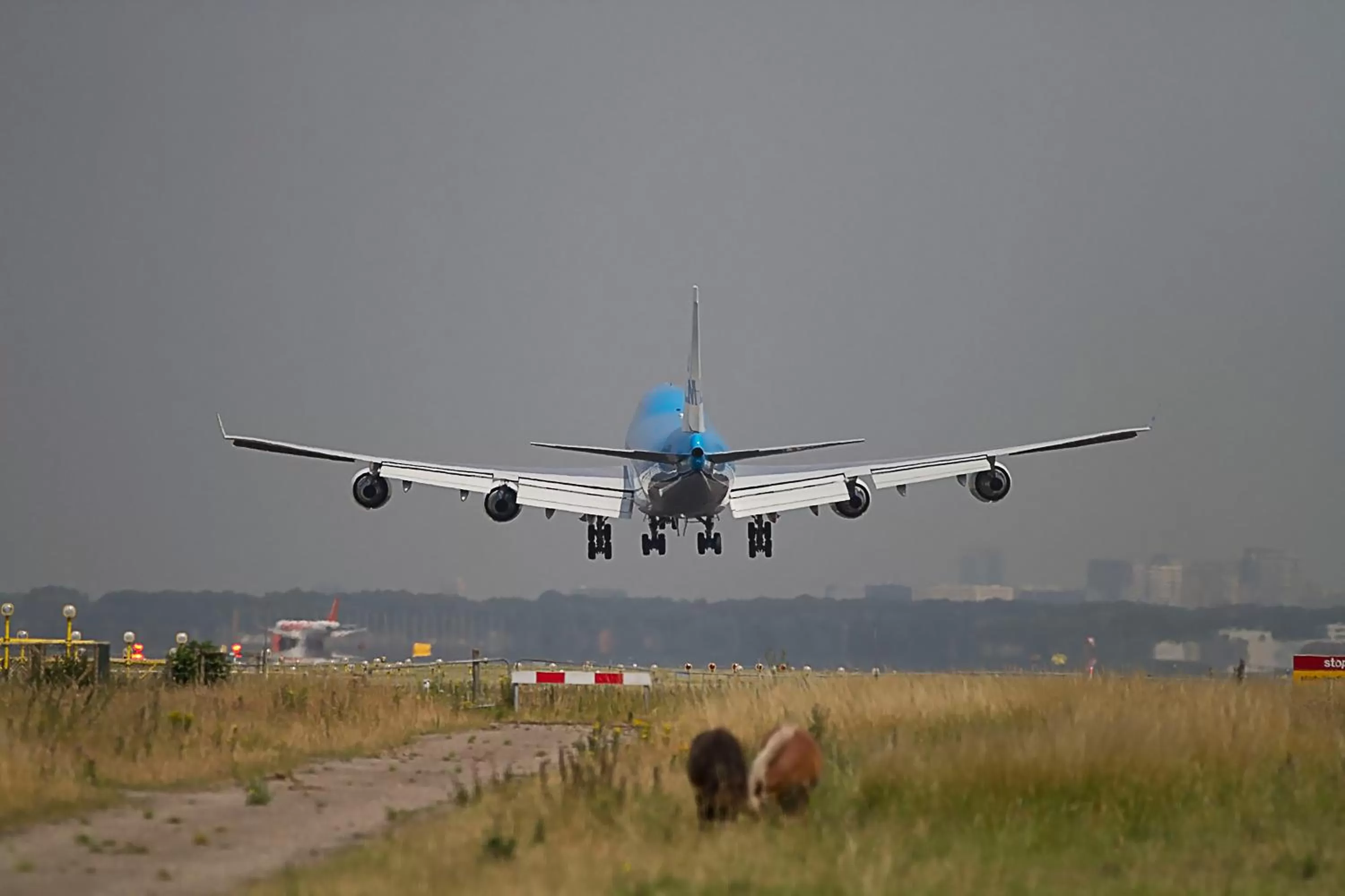 Other in Bastion Hotel Schiphol Hoofddorp