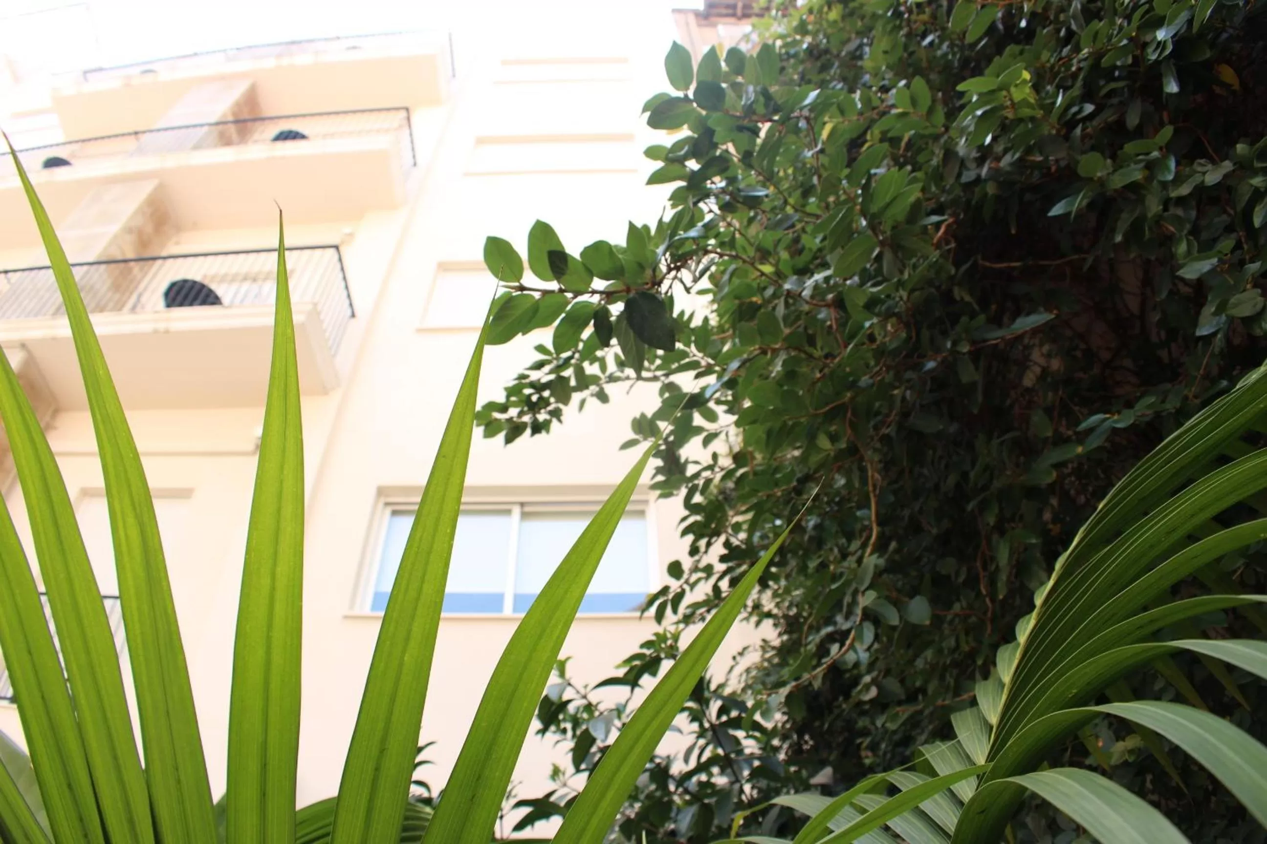 Balcony/Terrace in Soho Valencia