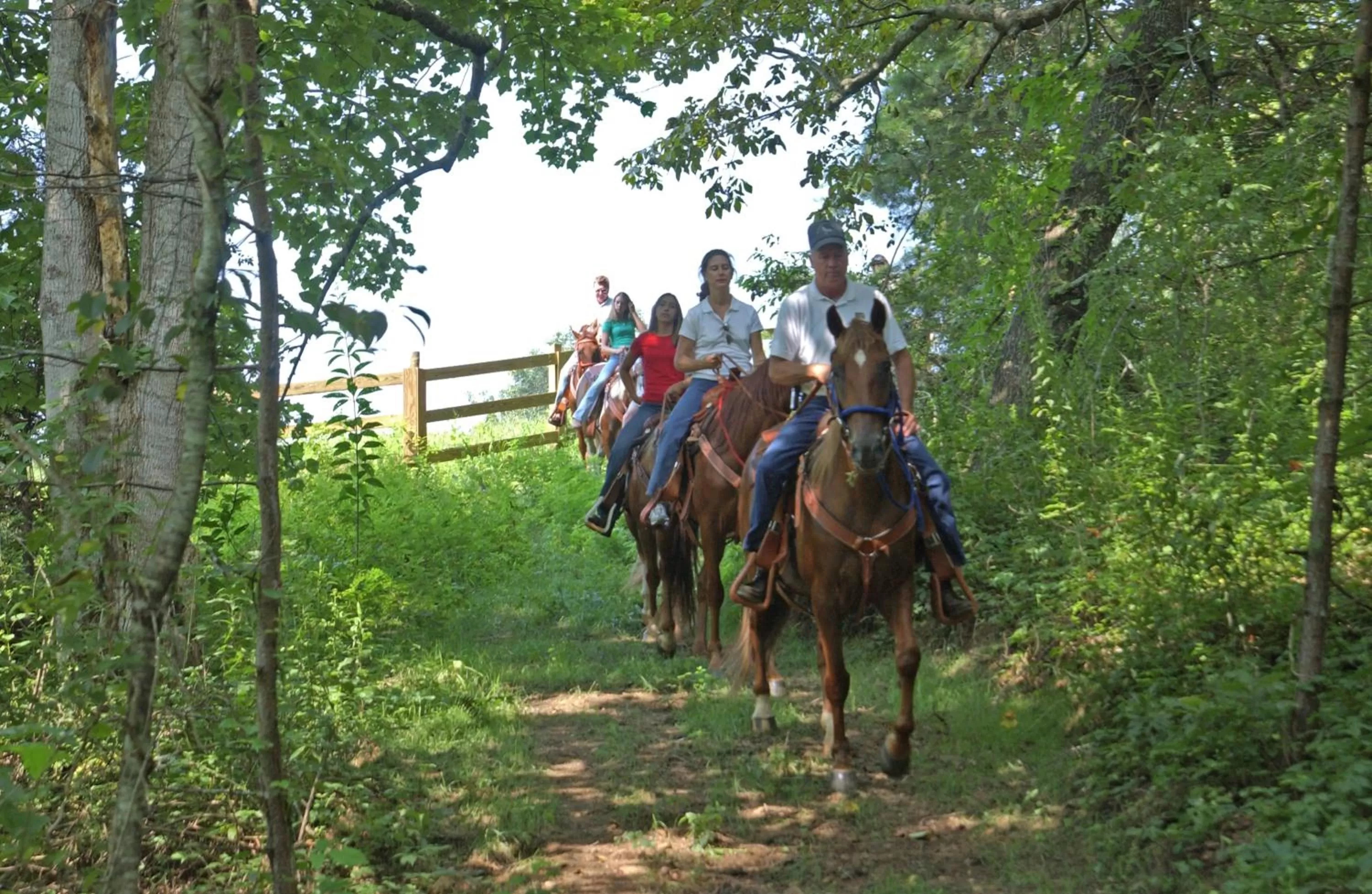 Horse-riding in Brasstown Valley Resort & Spa