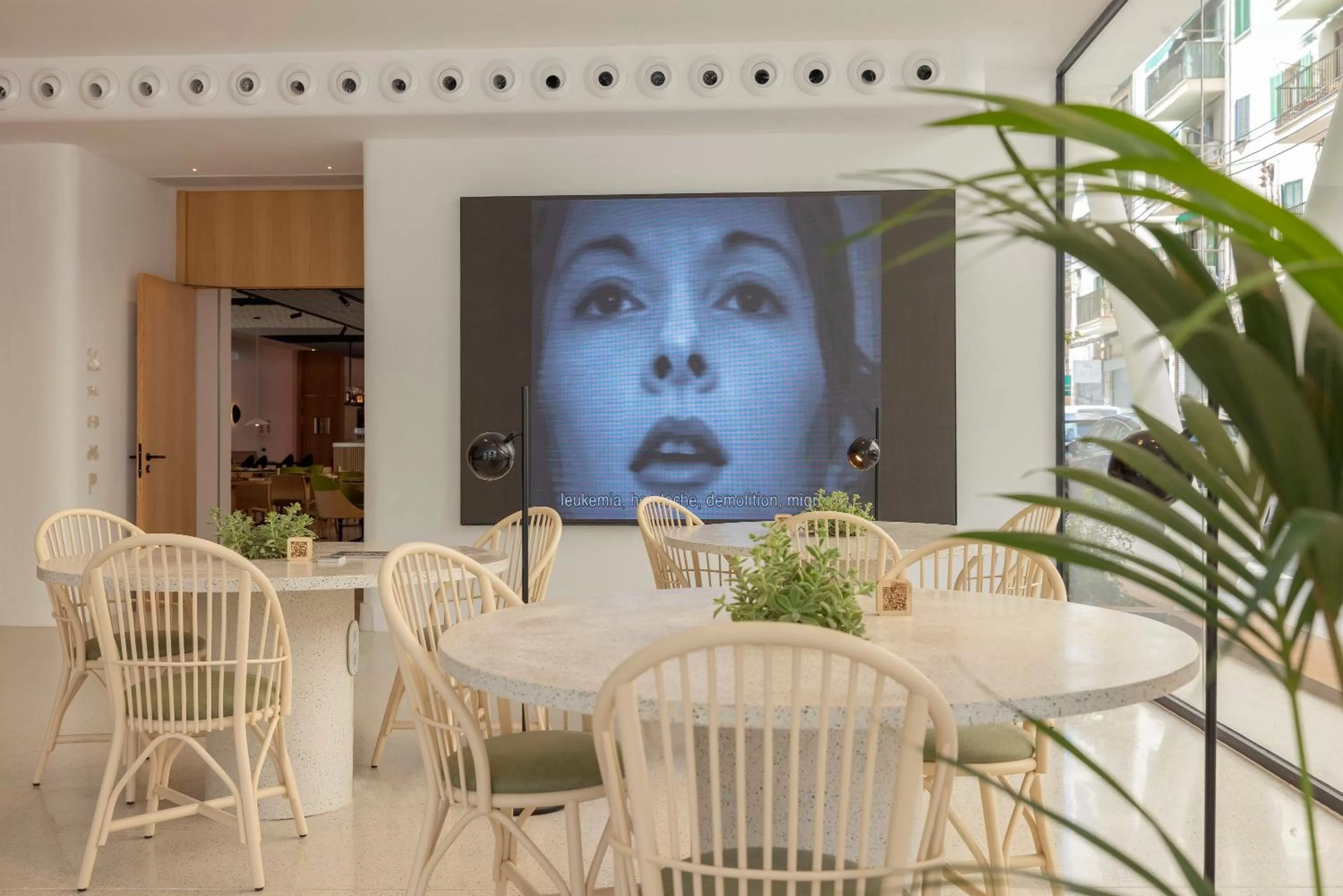 Area and facilities in HM Palma Blanc