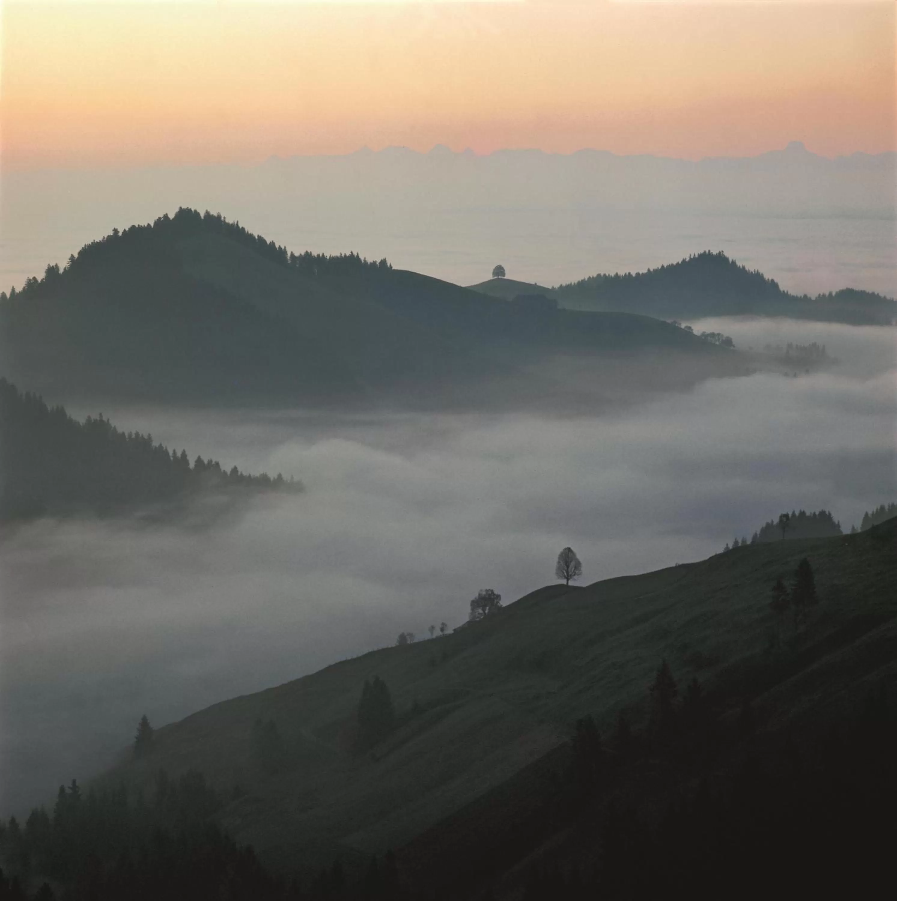 Natural landscape in BnB SchlafSchloss