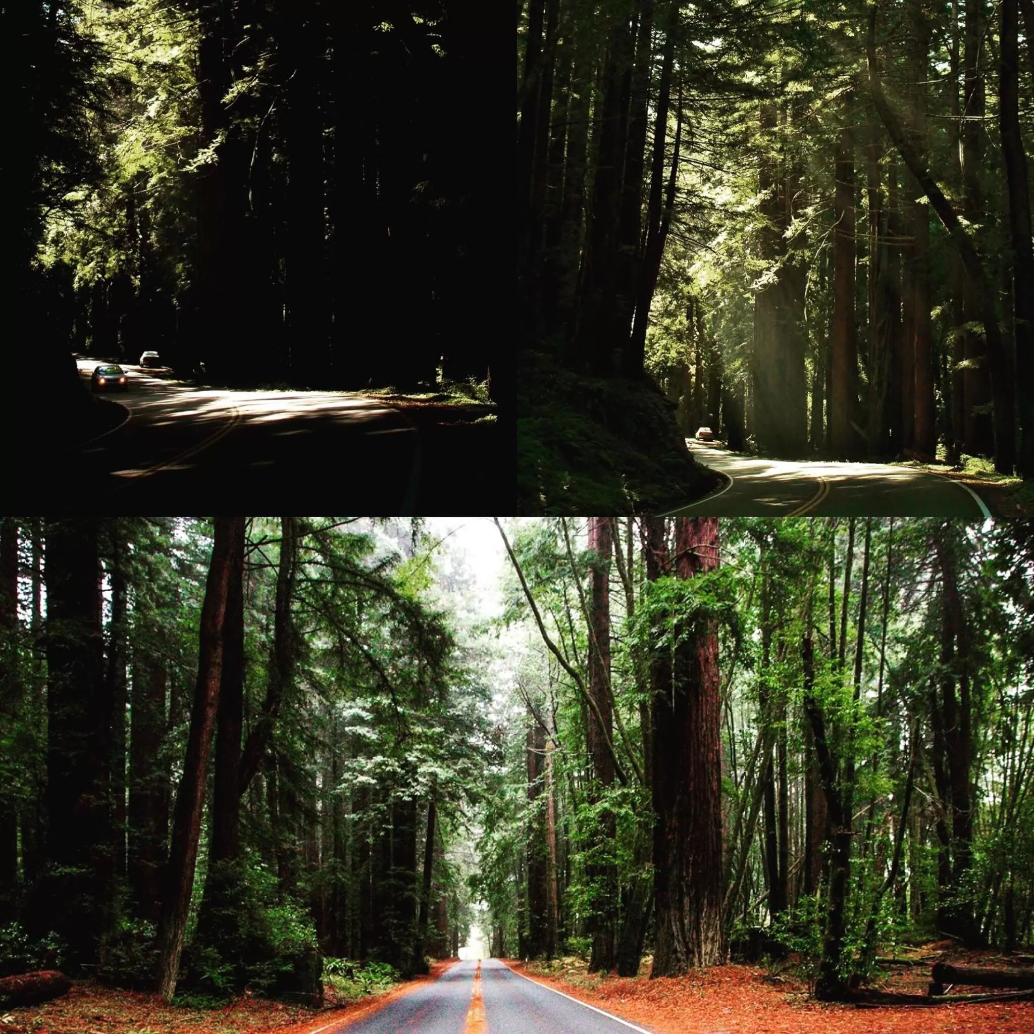 Other in Inn at Schoolhouse Creek