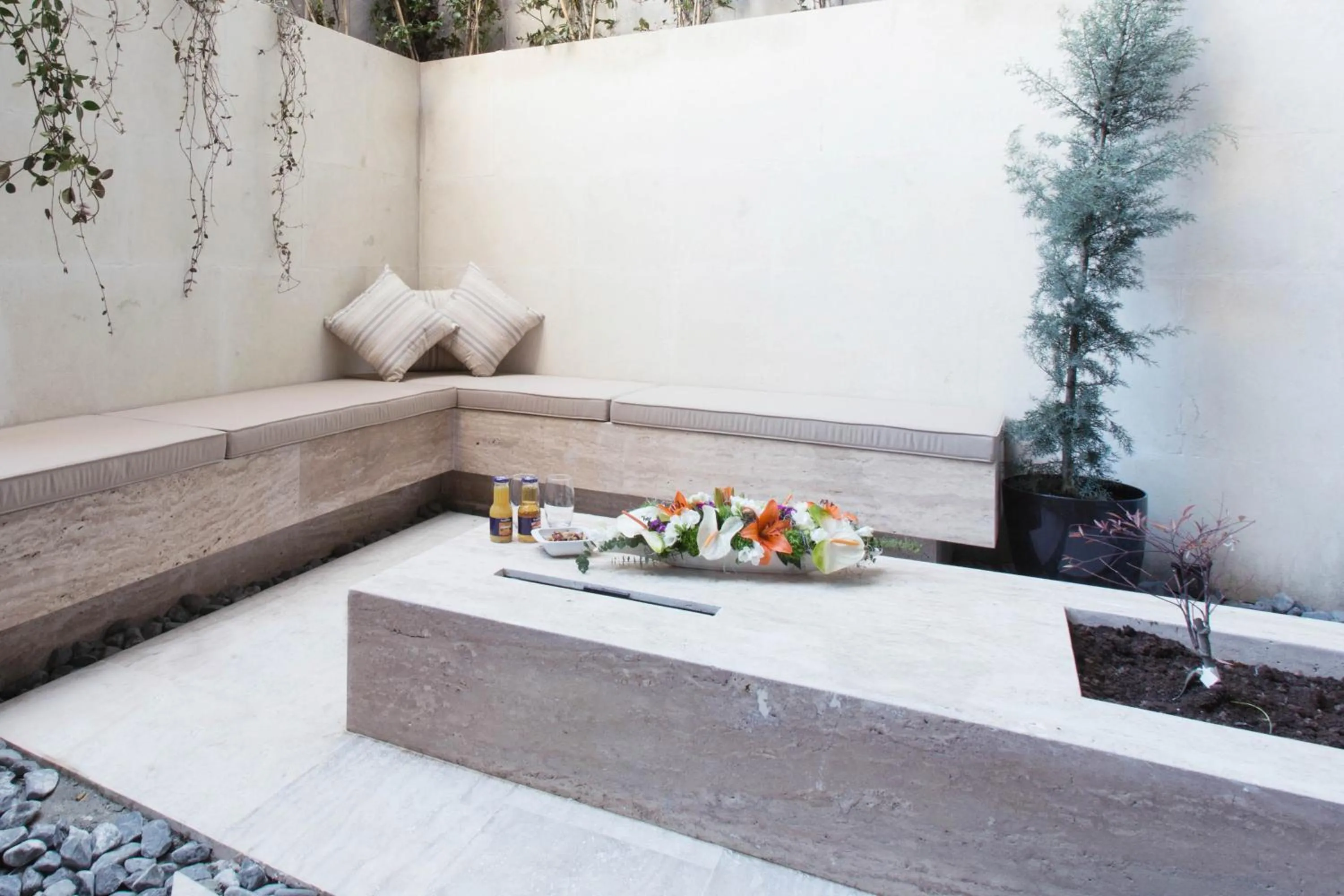 Garden in Noble22 Suites-Special Category