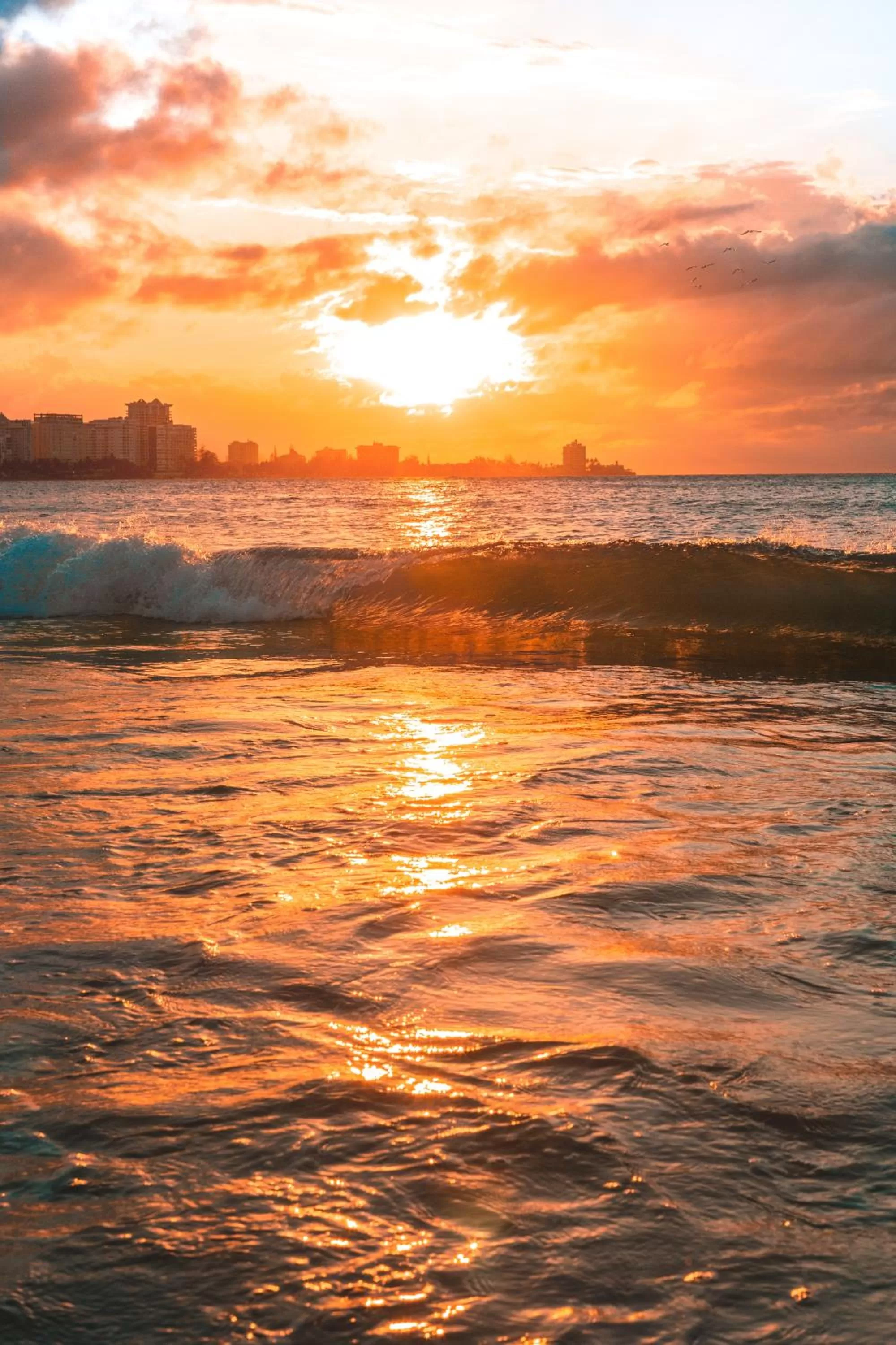 Natural landscape in ESJ Towers by Chana